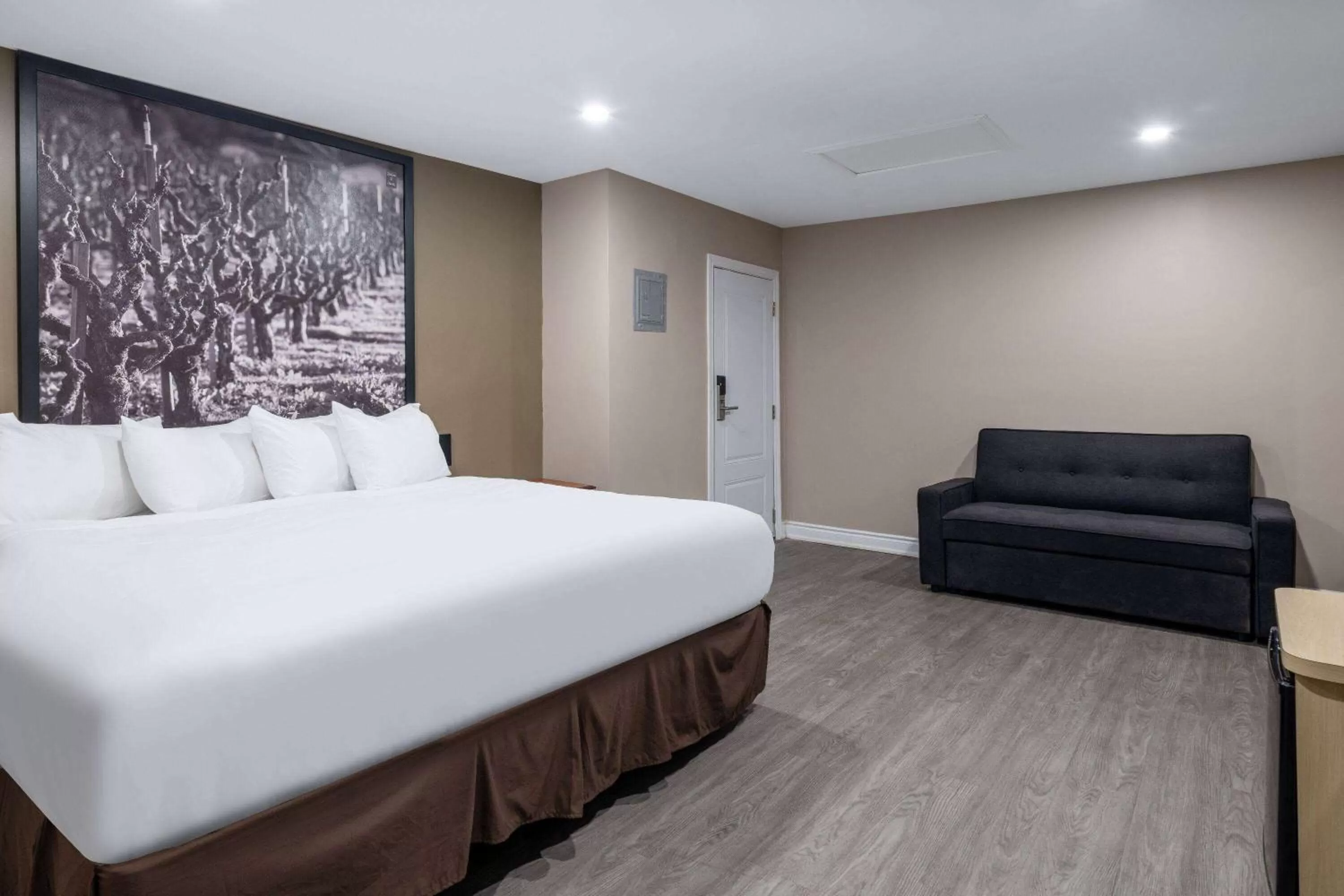 Photo of the whole room in Super 8 by Wyndham Niagara Falls ON