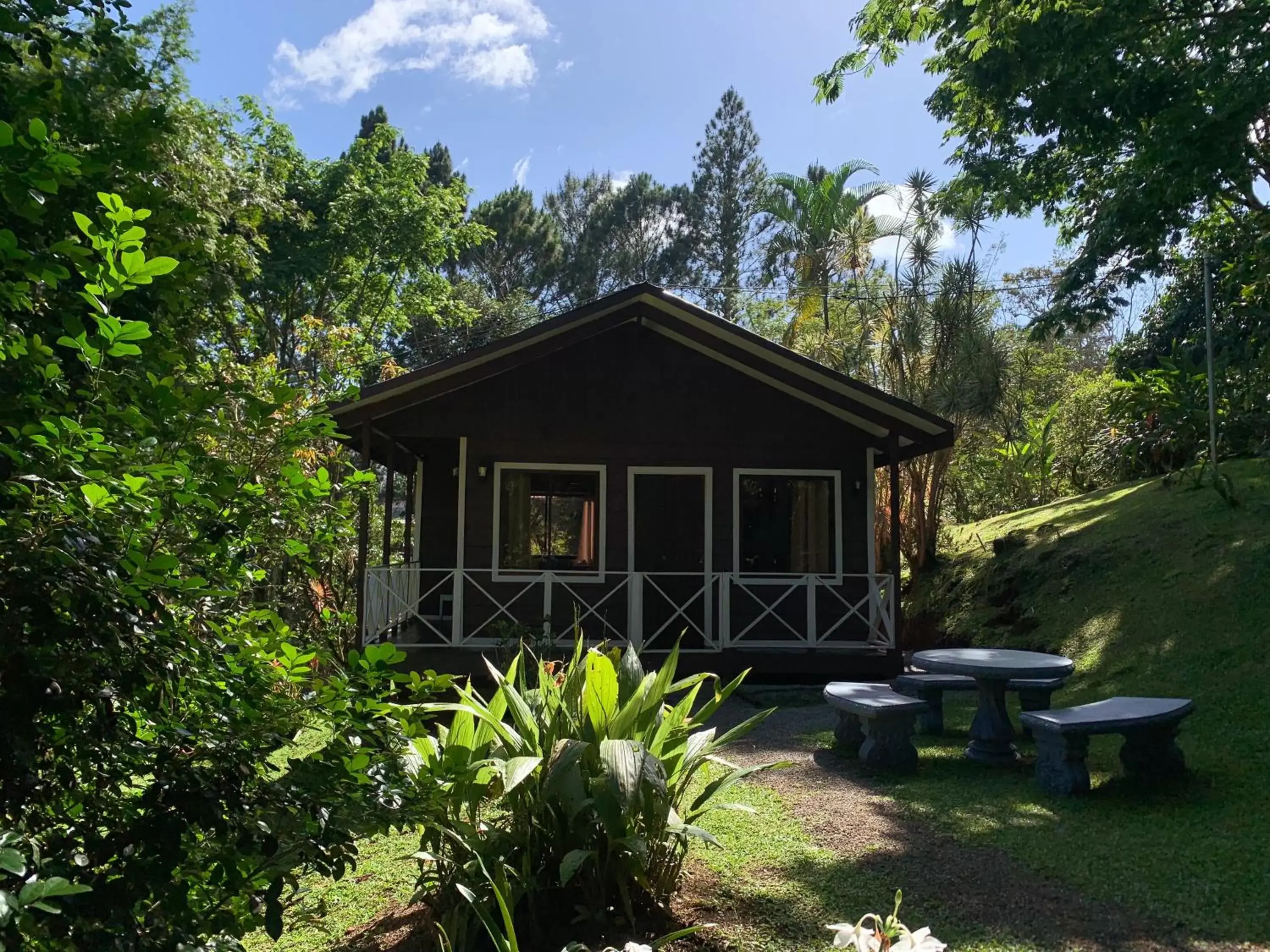 View (from property/room), Property Building in Hospedaje La Naciente