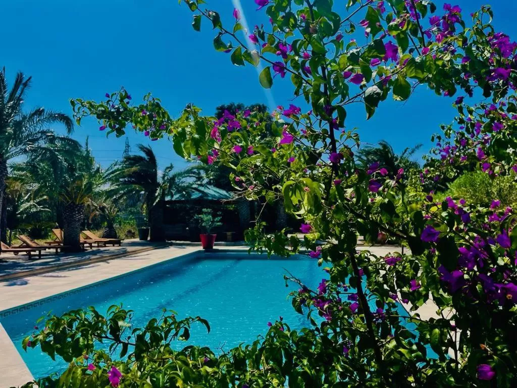 Swimming pool in Tropic Hôtel