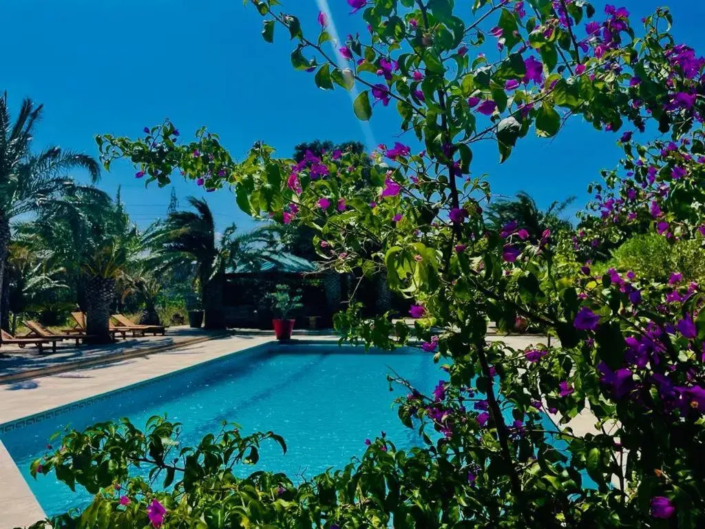 Swimming Pool in Tropic Hôtel