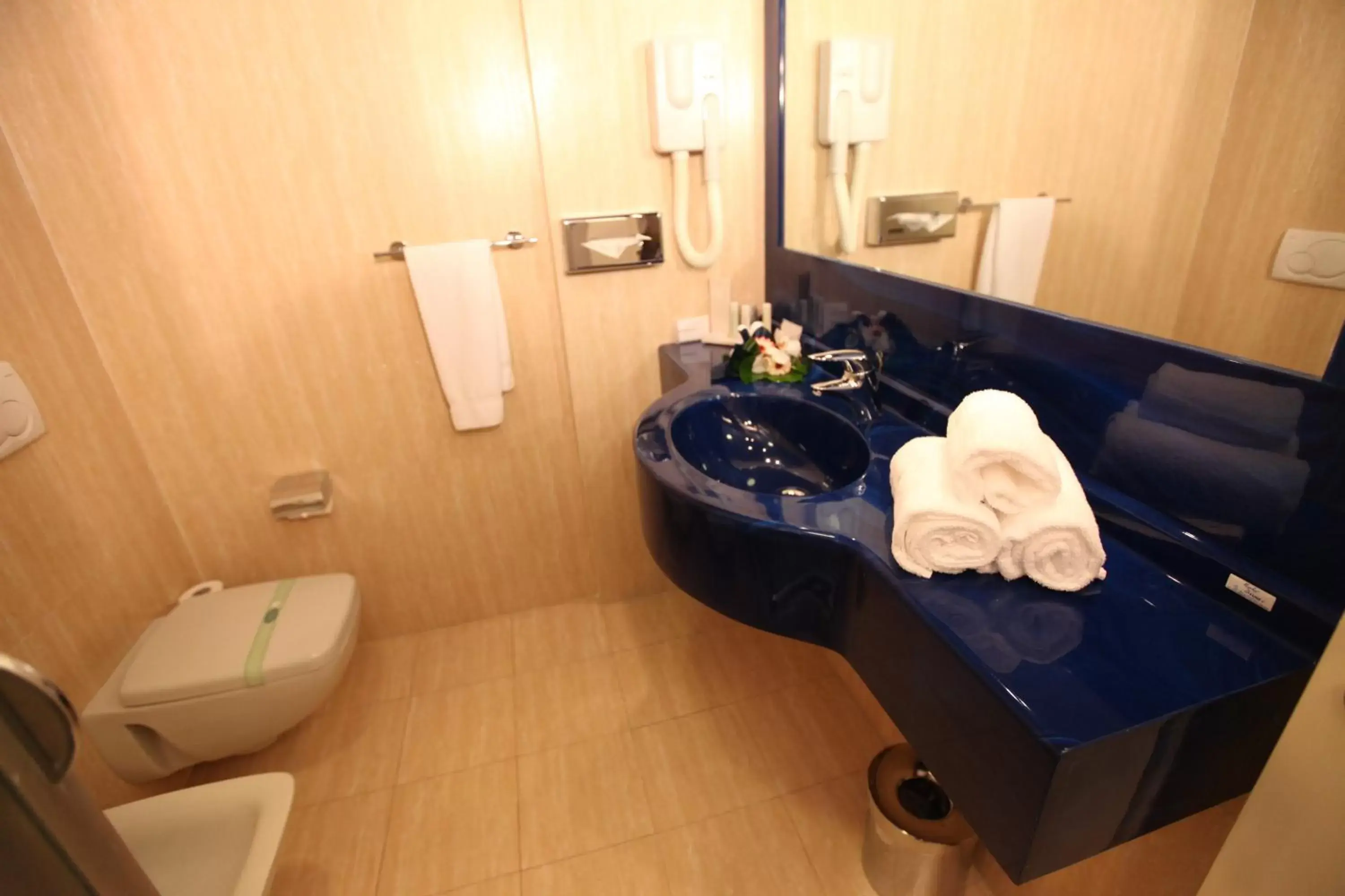 Bathroom in Hotel Galilei