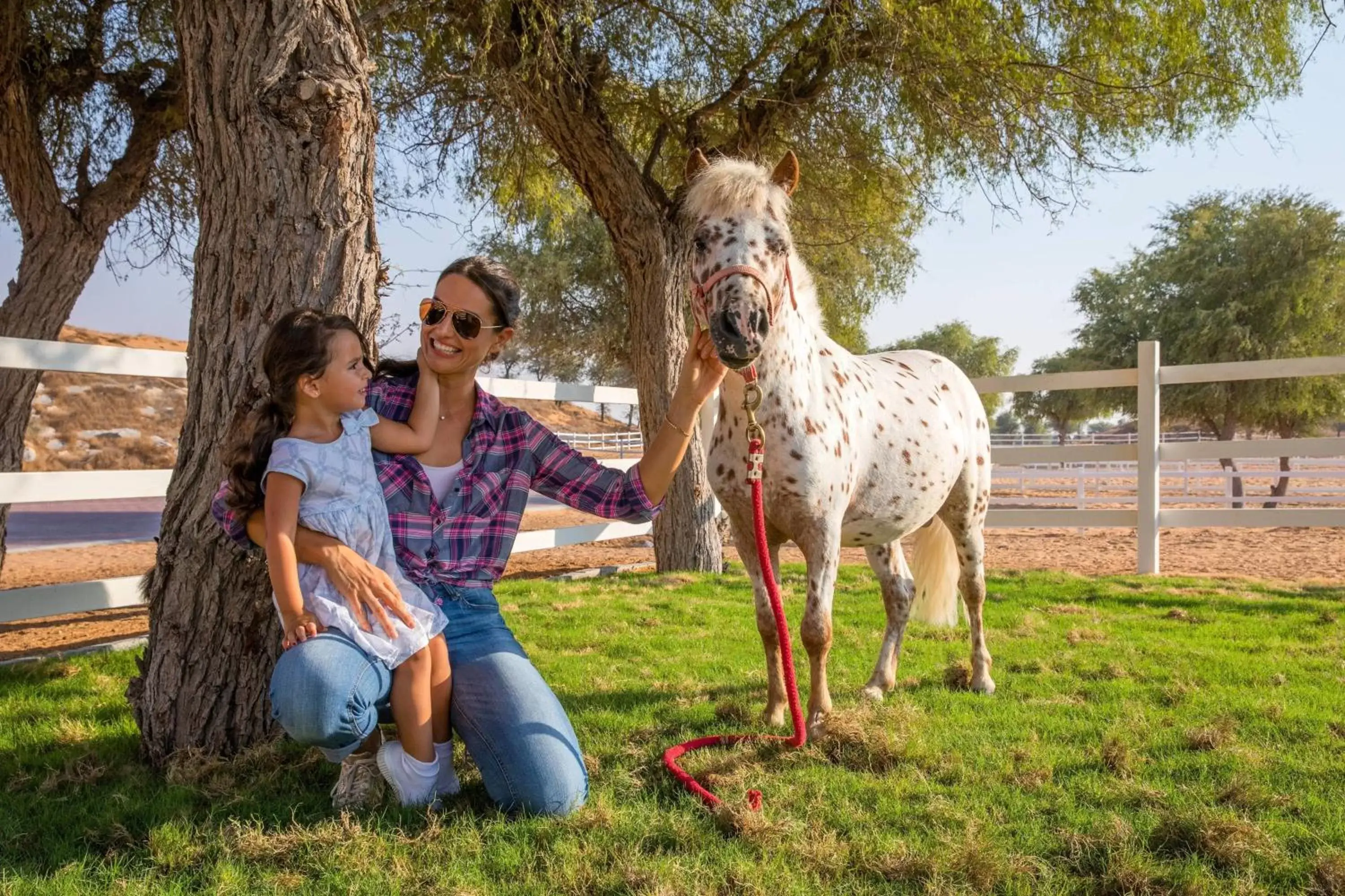 Other in The Ritz-Carlton Ras Al Khaimah, Al Wadi Desert