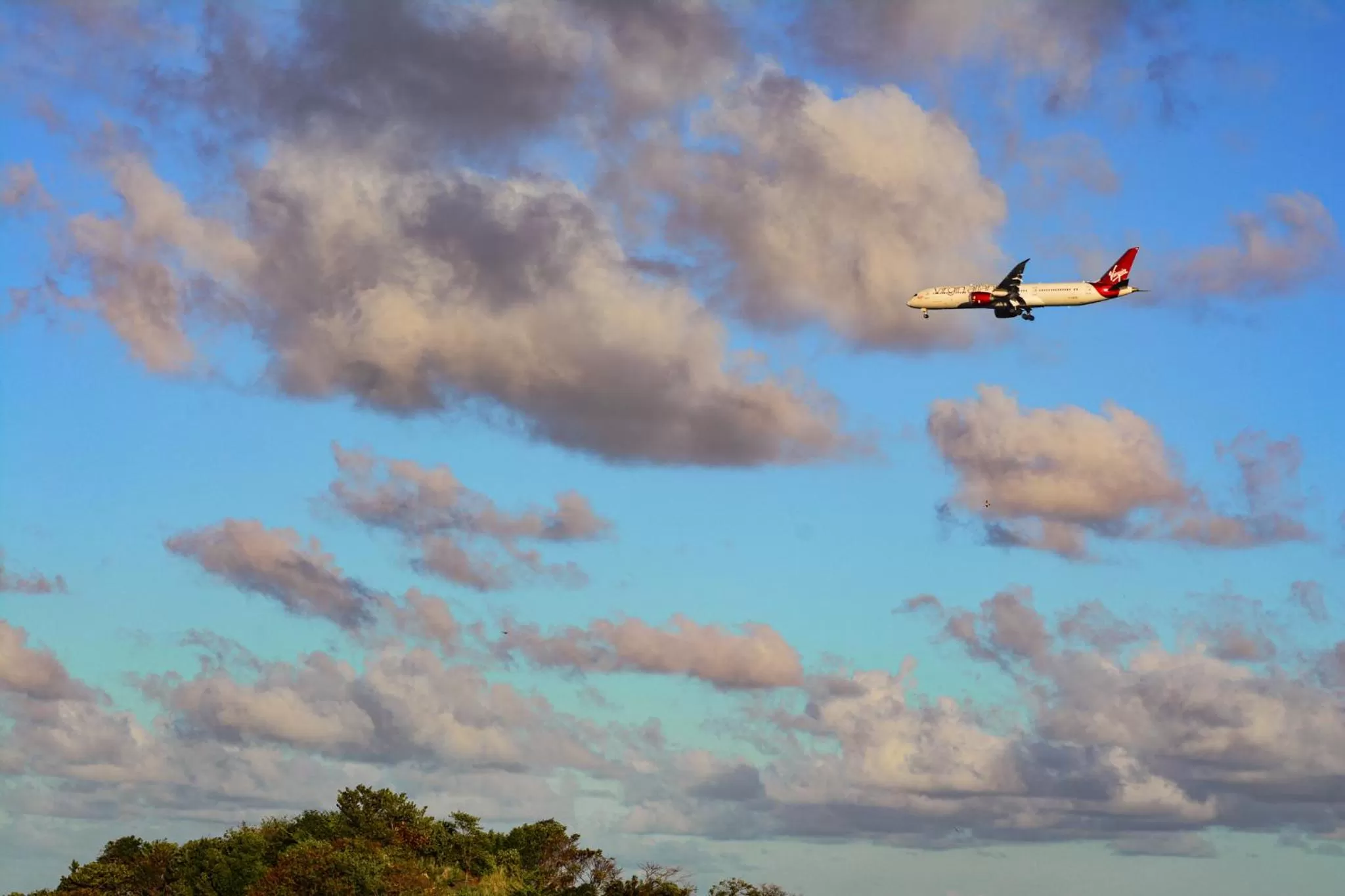 Bird's eye view in The Milligan