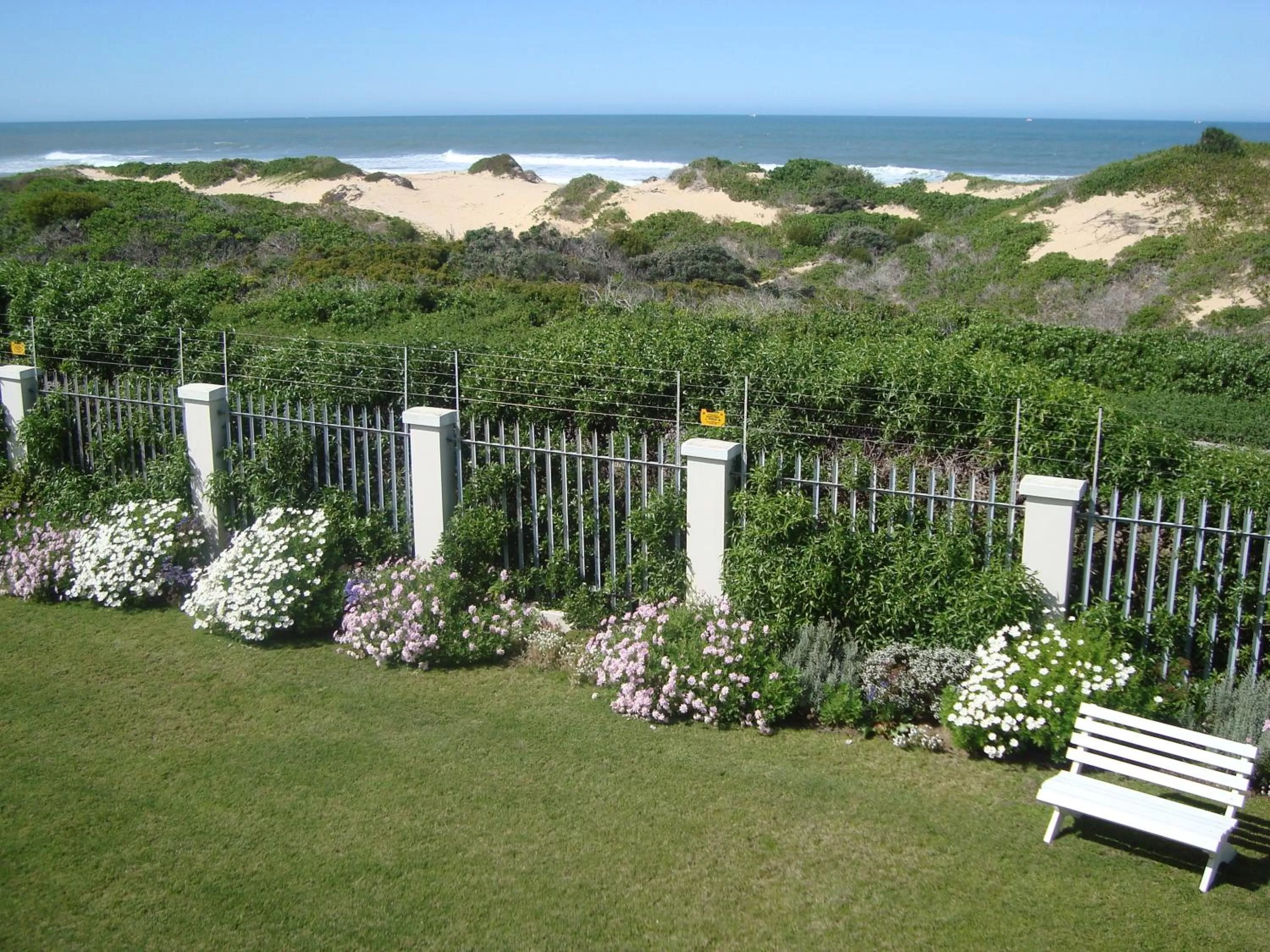 Garden in The Beach House