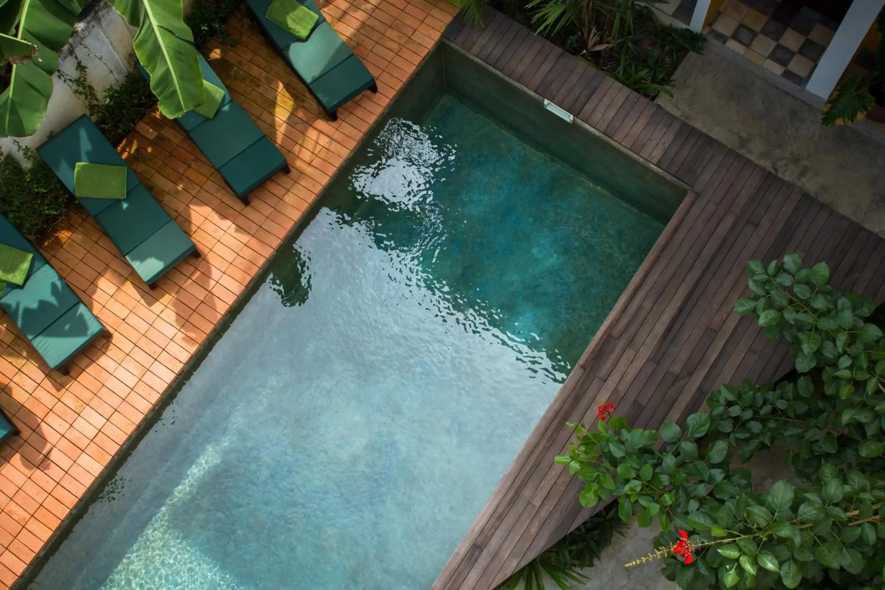 Swimming pool in Pages Rooms Hotel Swimming pool in Pages Rooms Hotel