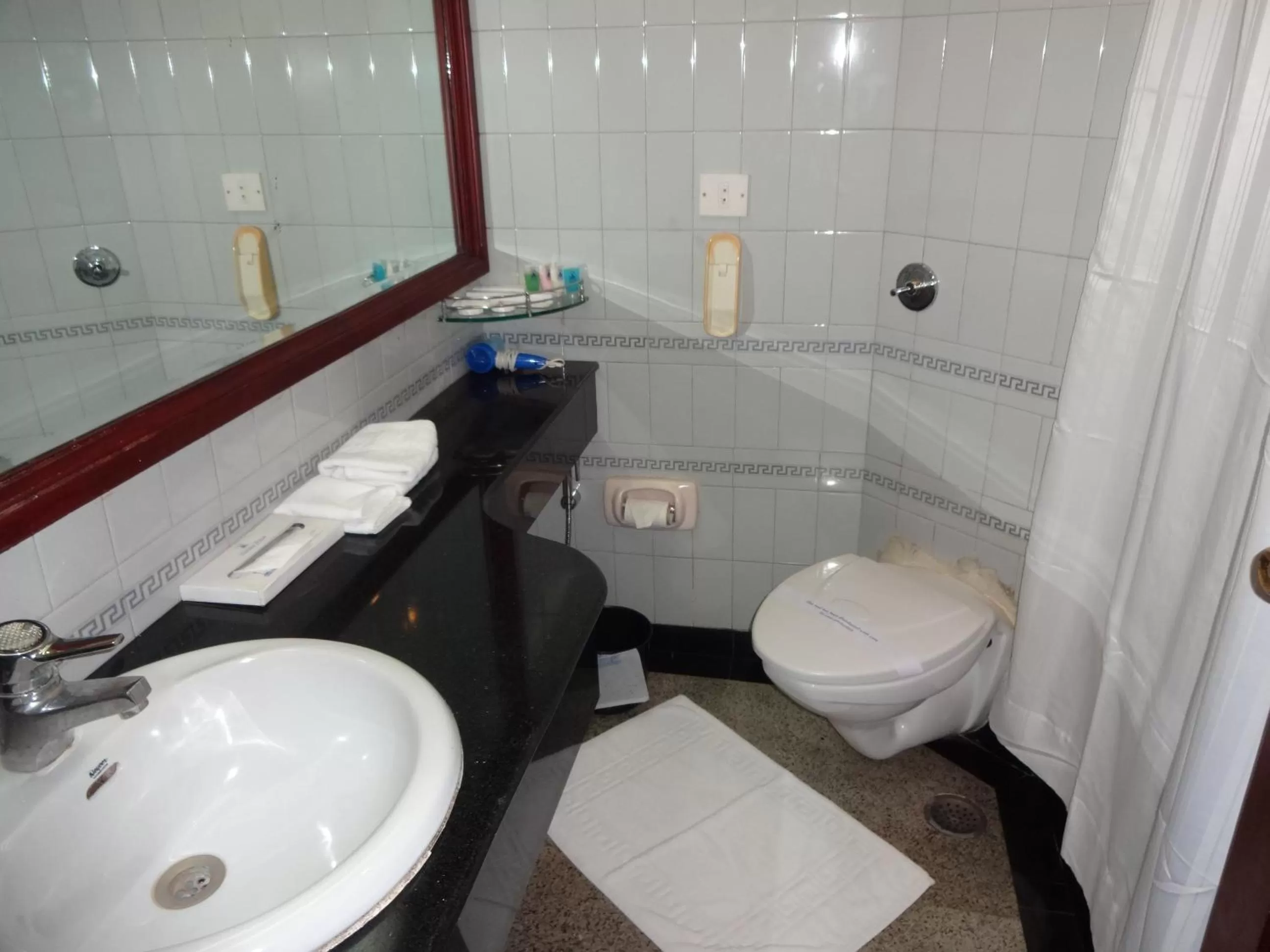 Toilet in Manuelsons Malabar Palace