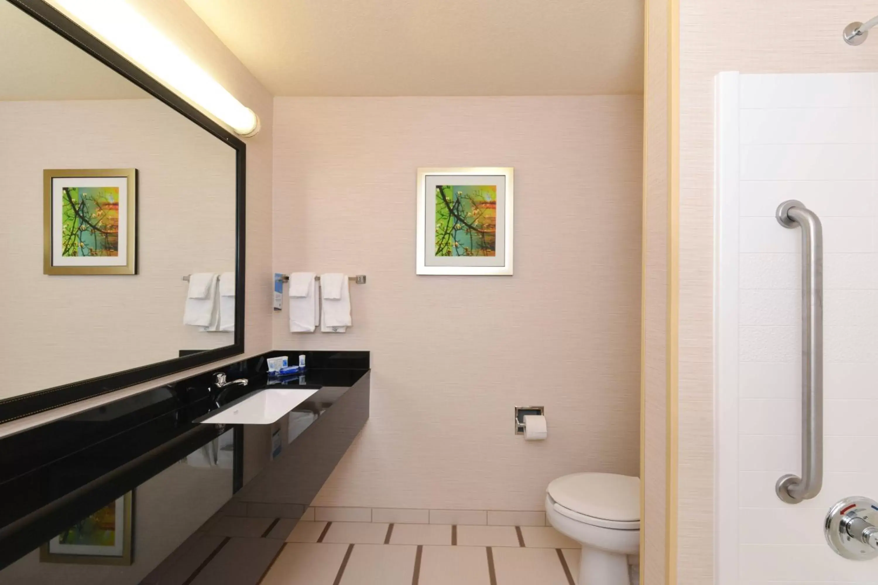 Bathroom in Fairfield Inn & Suites Bloomington