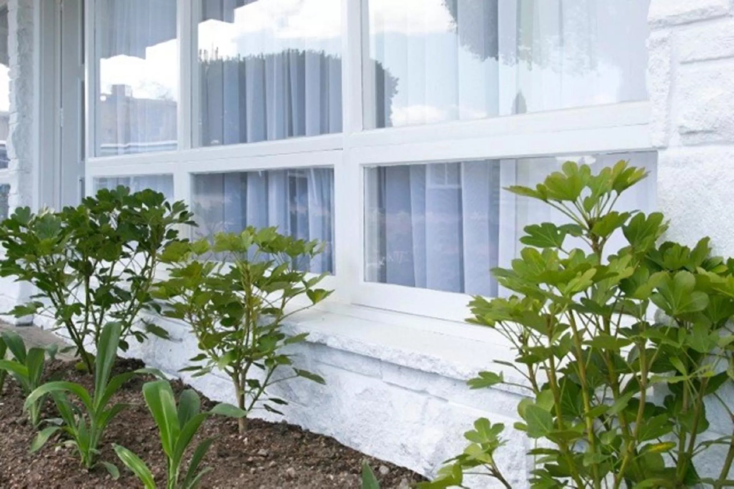 Garden in 52 on Rifle Motel