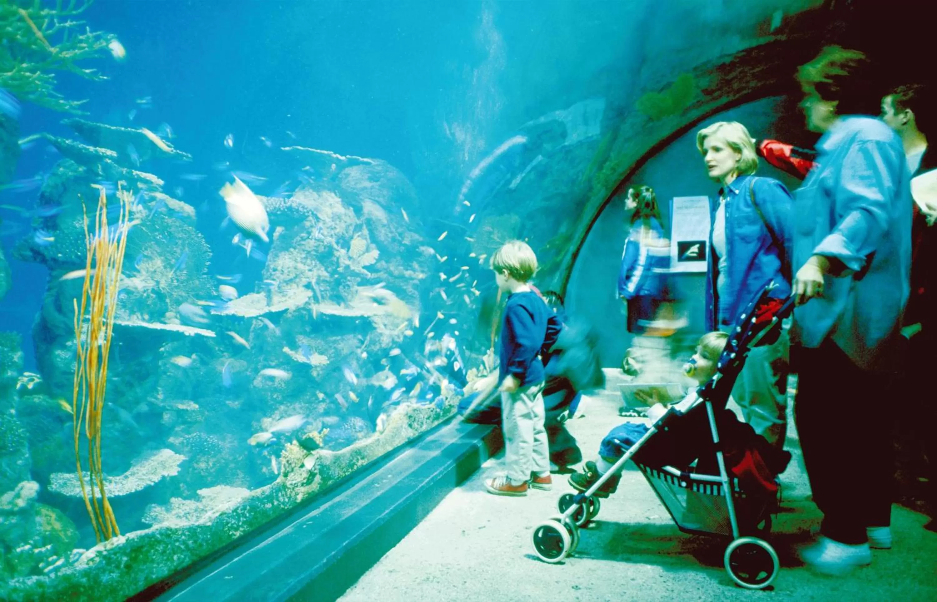 Area and facilities in Crowne Plaza Denver International Airport, an IHG Hotel