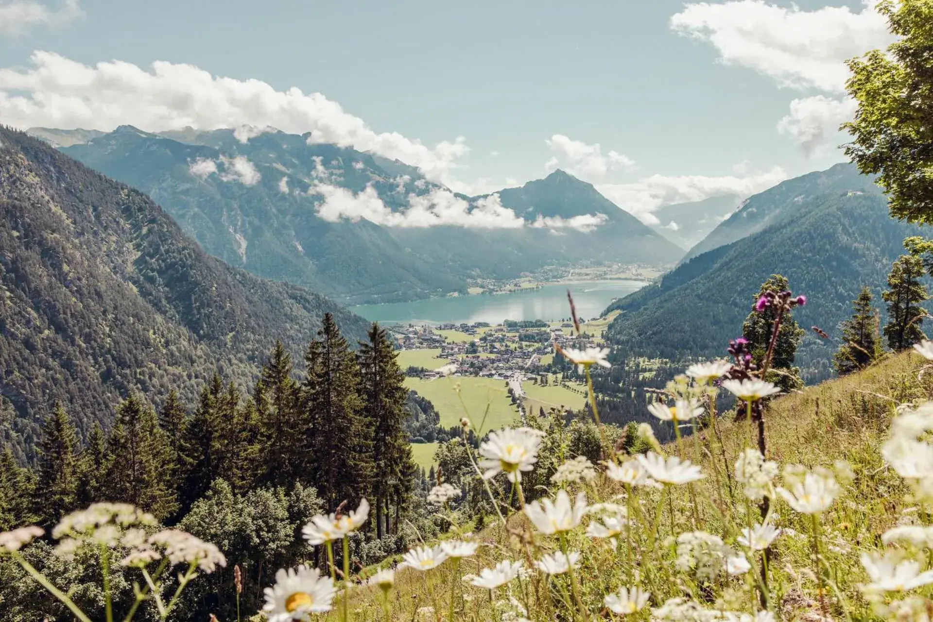 Summer, Natural Landscape in Hotel St. Georg zum See