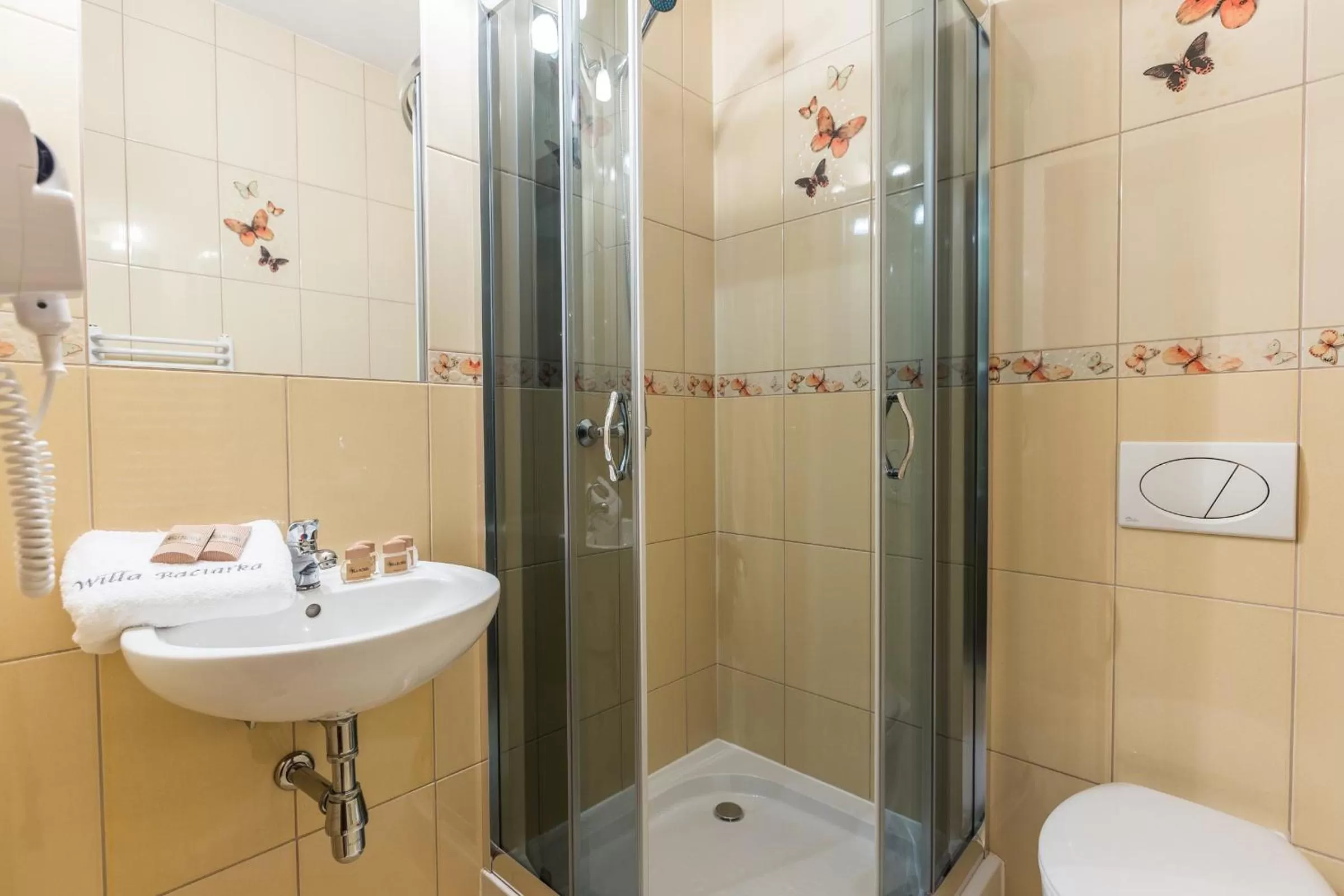 Bathroom in Willa Baciarka-basen, sauny i jacuzzi