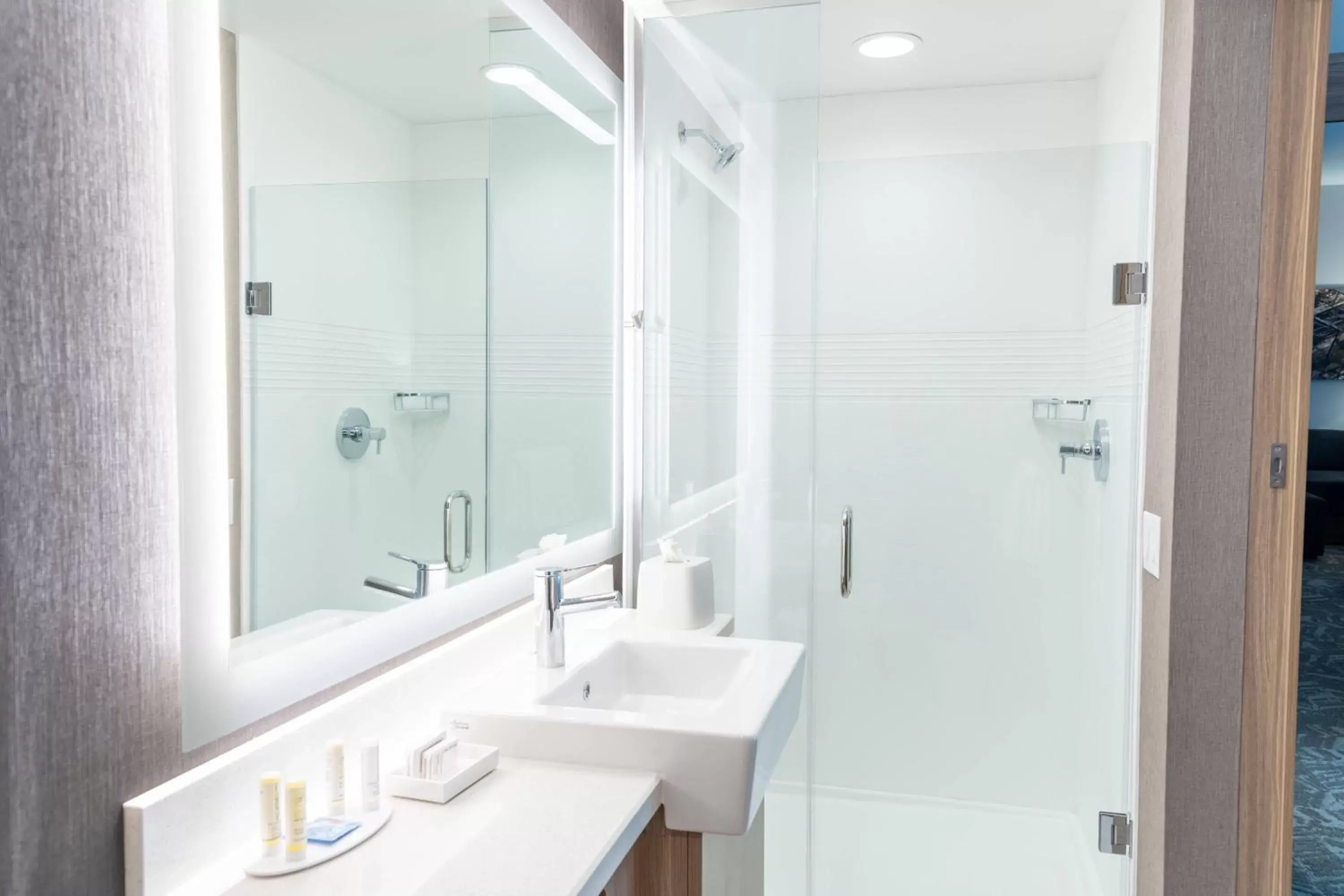 Bathroom in SpringHill Suites by Marriott Overland Park Leawood