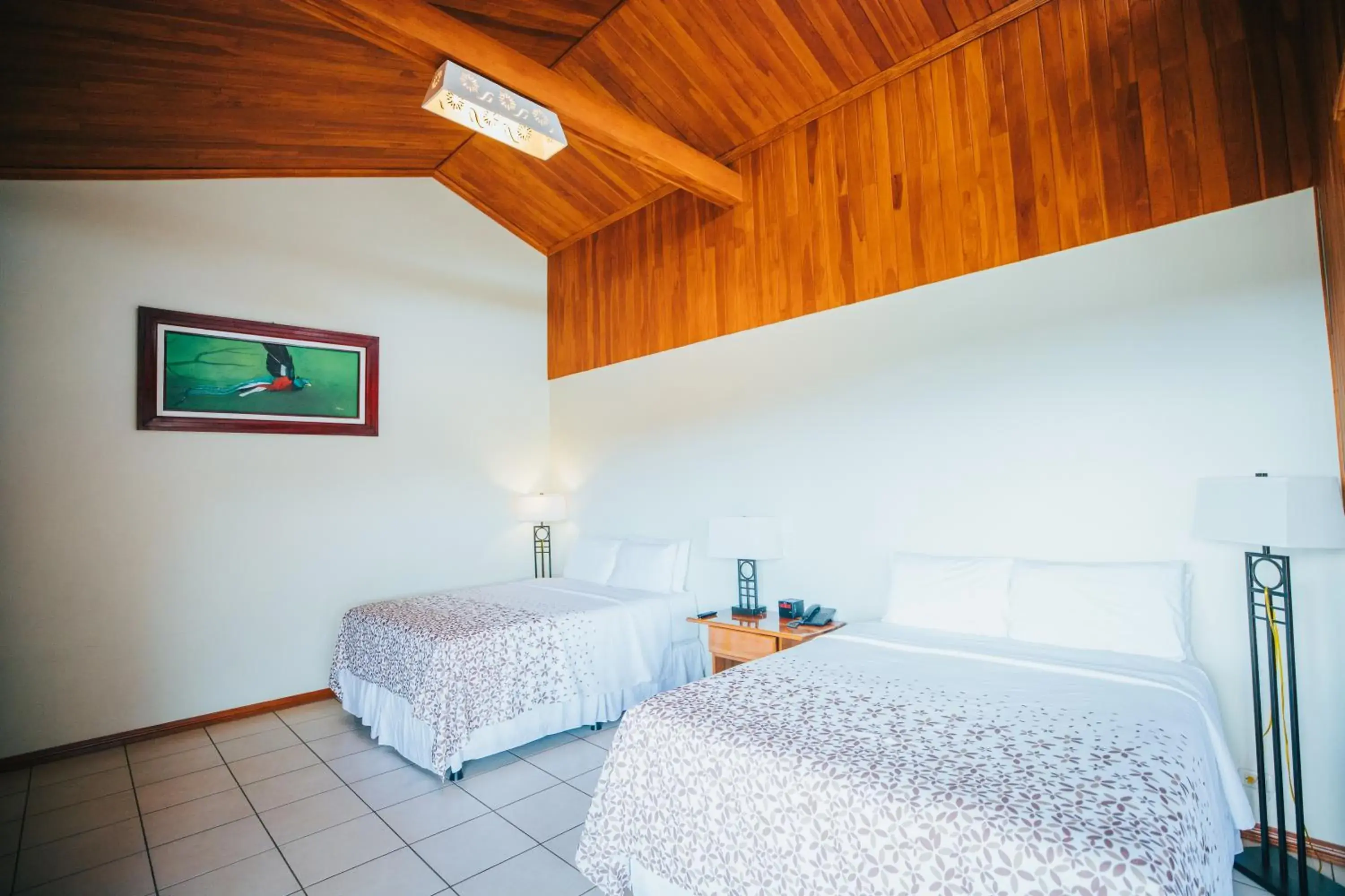 Property building in Hotel Ficus - Monteverde