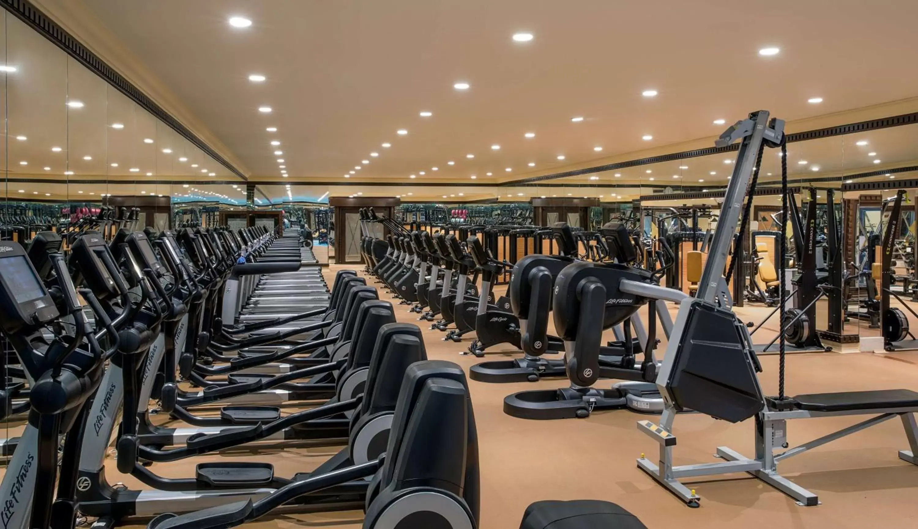 Fitness centre/facilities, Fitness Center/Facilities in Jeddah Hilton