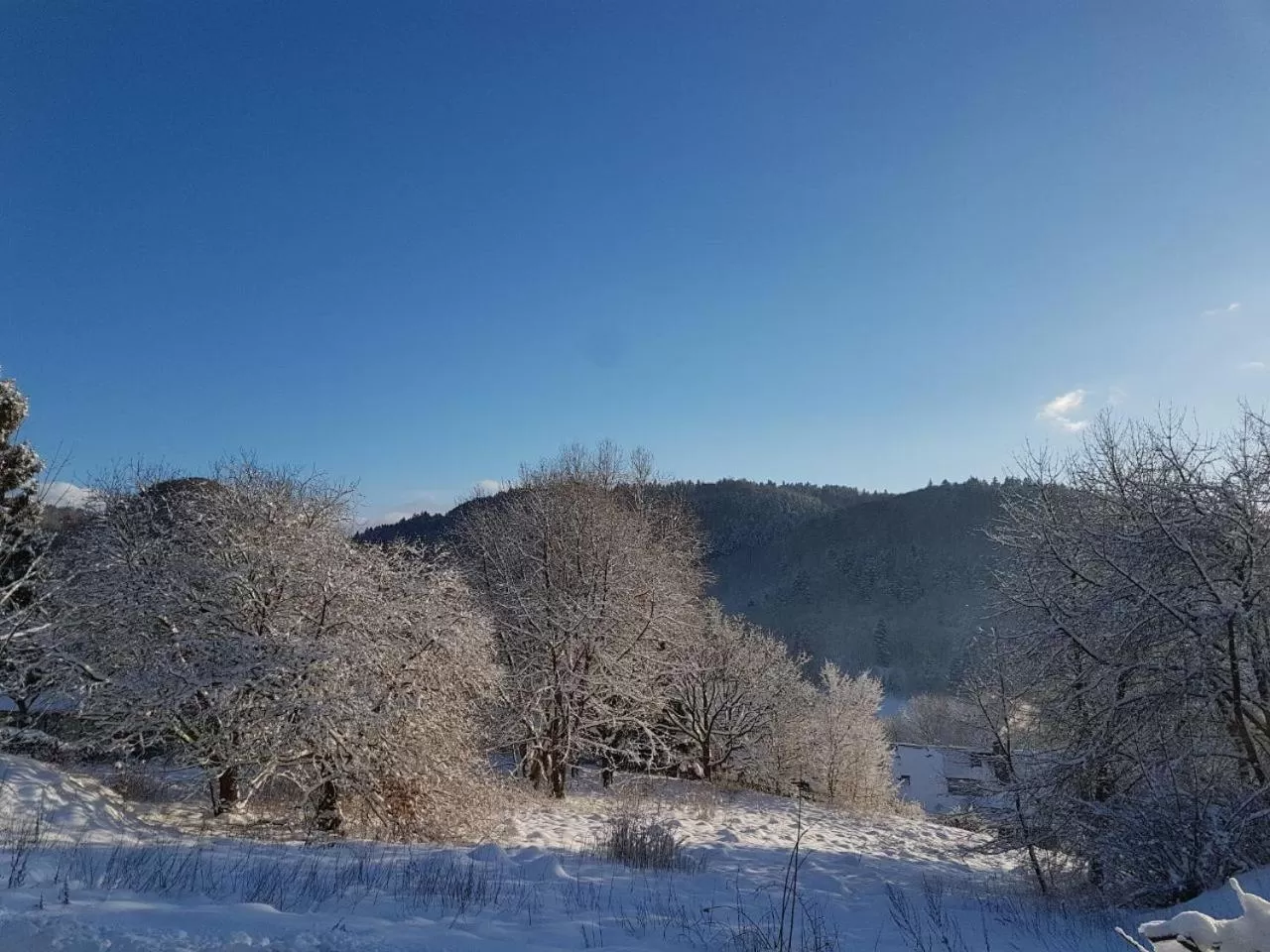 Winter in Hotel Zur Schanze