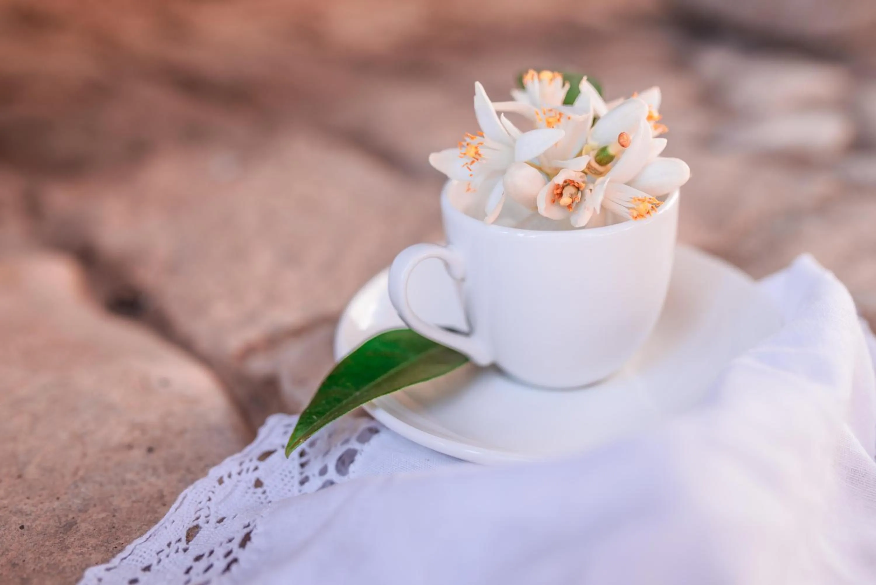 Coffee/tea facilities in Torre Don Virgilio Country Hotel