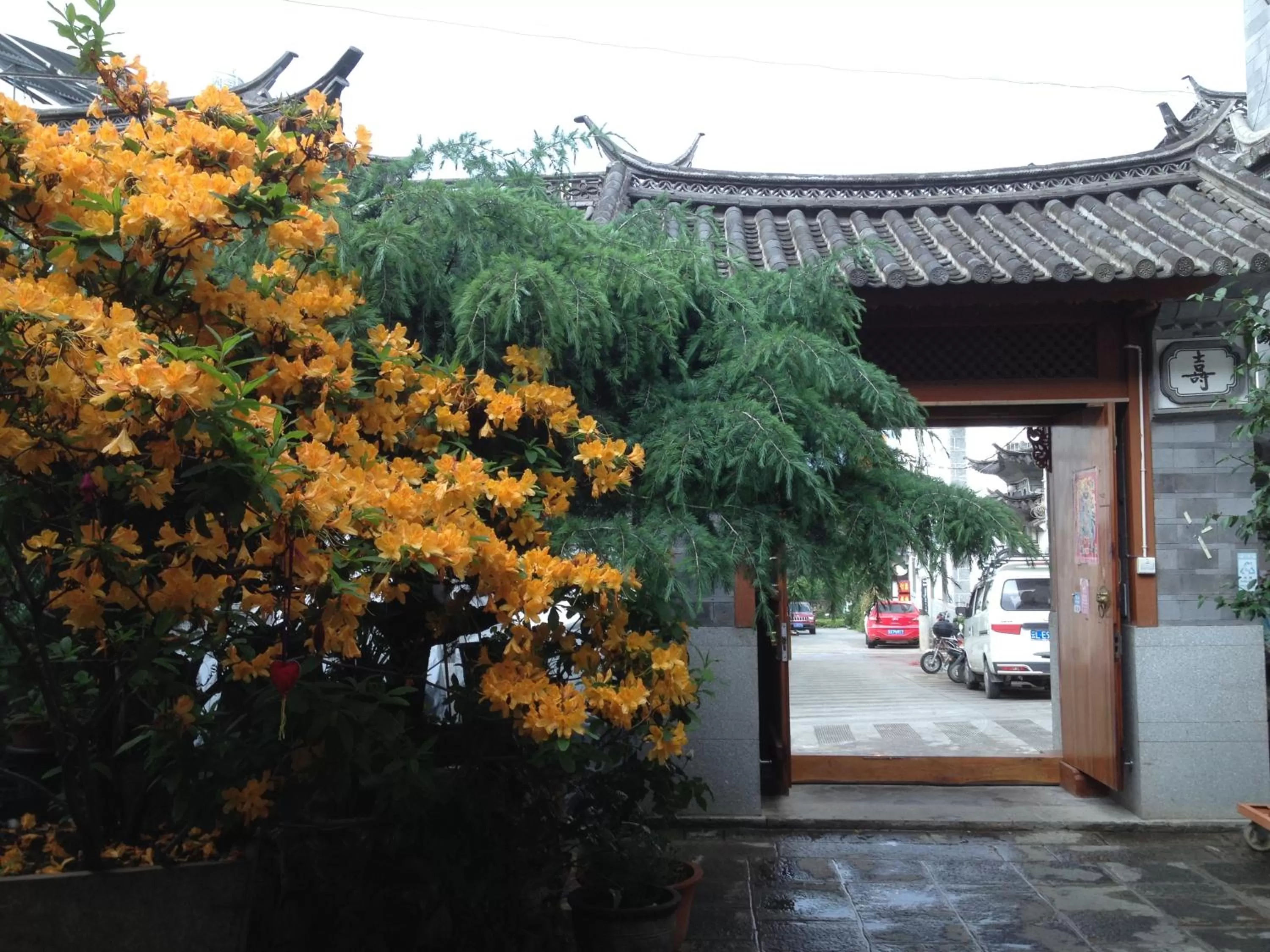 Day, Property Building in The Lily Pad Inn