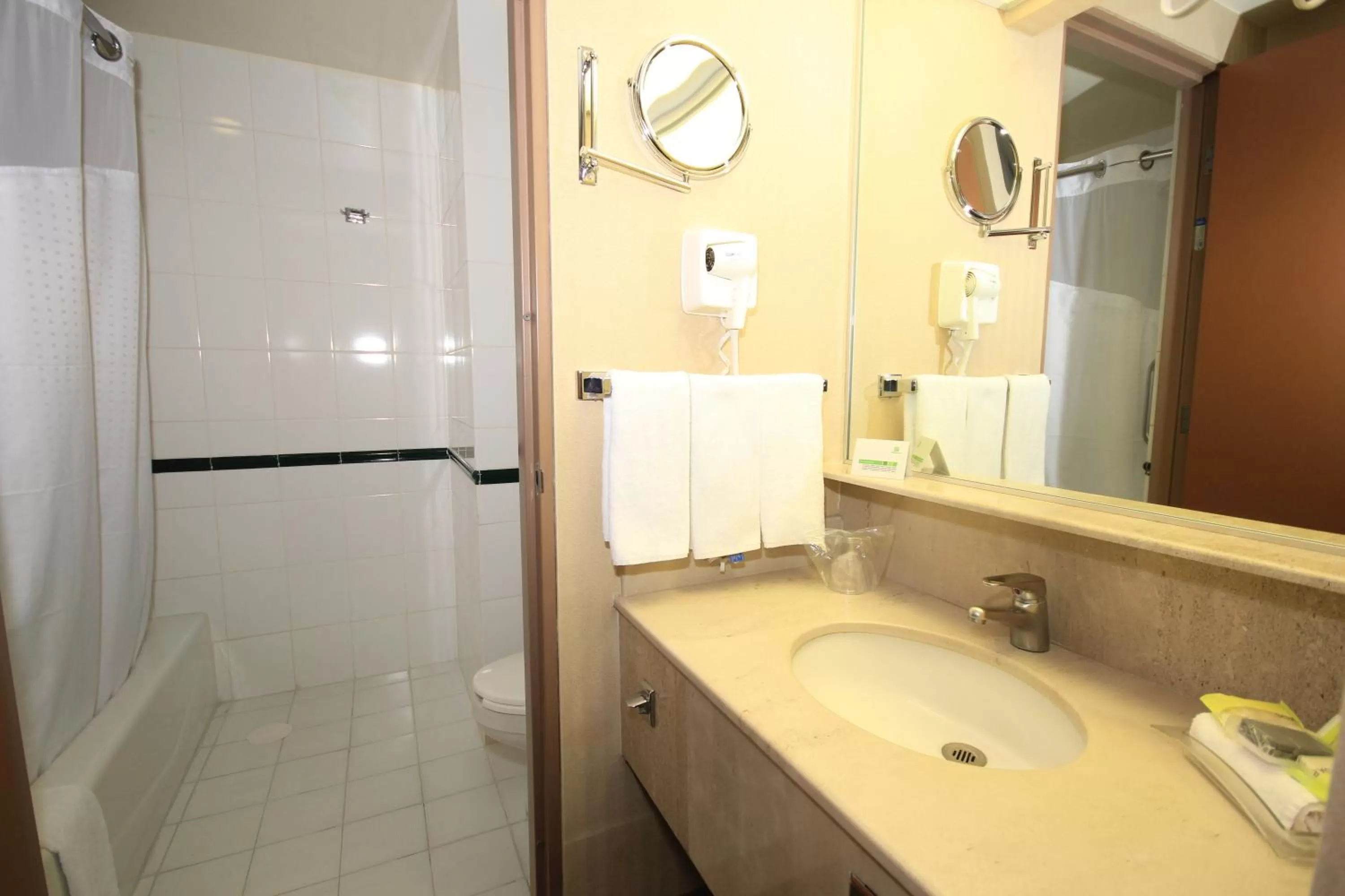 Bathroom in Holiday Inn Leon-Convention Center by IHG