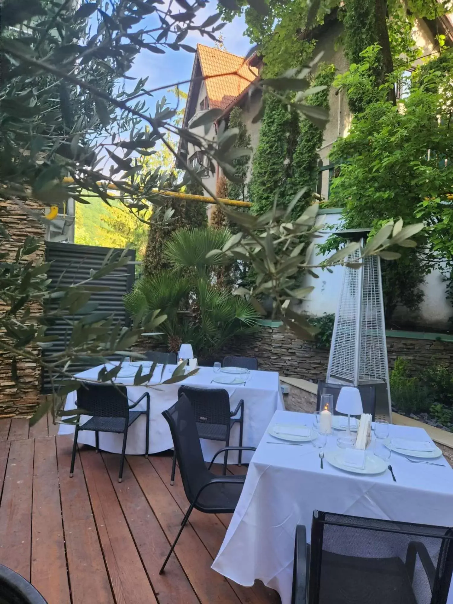 Garden, Restaurant/Places to Eat in Hotel Carpathia