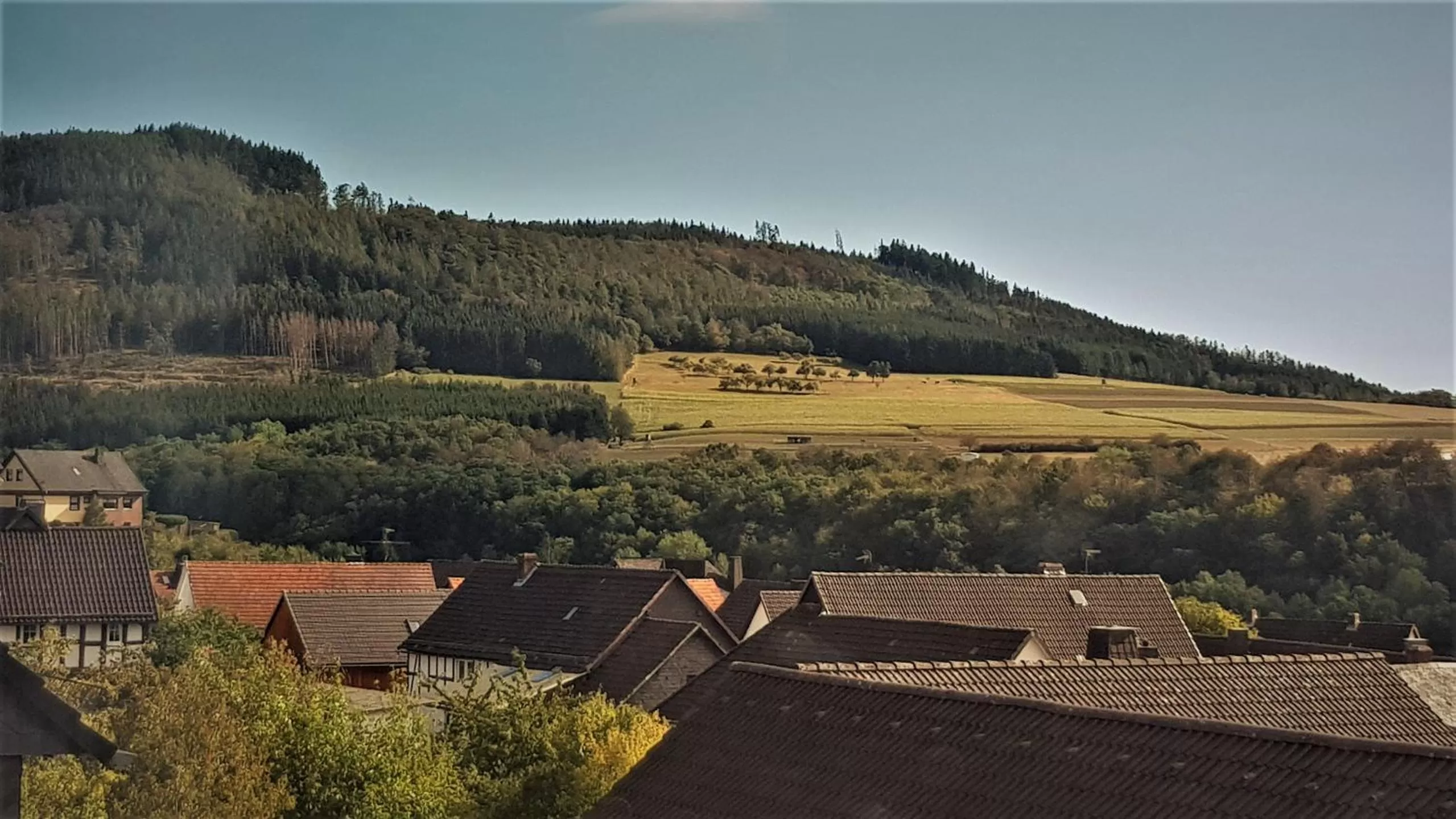 View (from property/room) in Roastineer Hotel