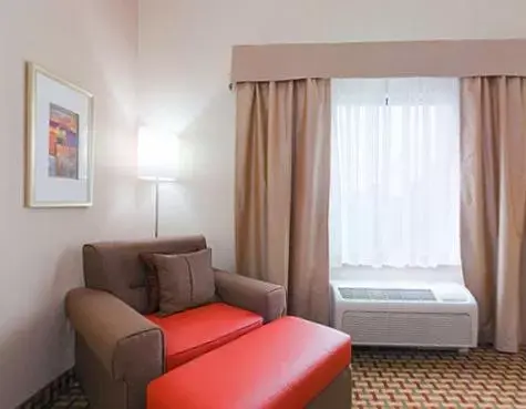 Seating Area in Holiday Inn Express Orlando-Ocoee East, an IHG Hotel