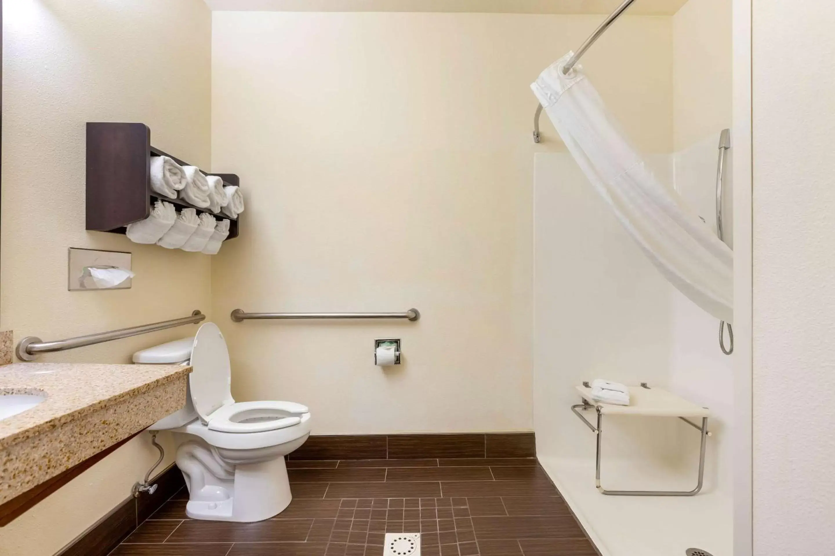 Bathroom in Comfort Suites Stevensville – St. Joseph