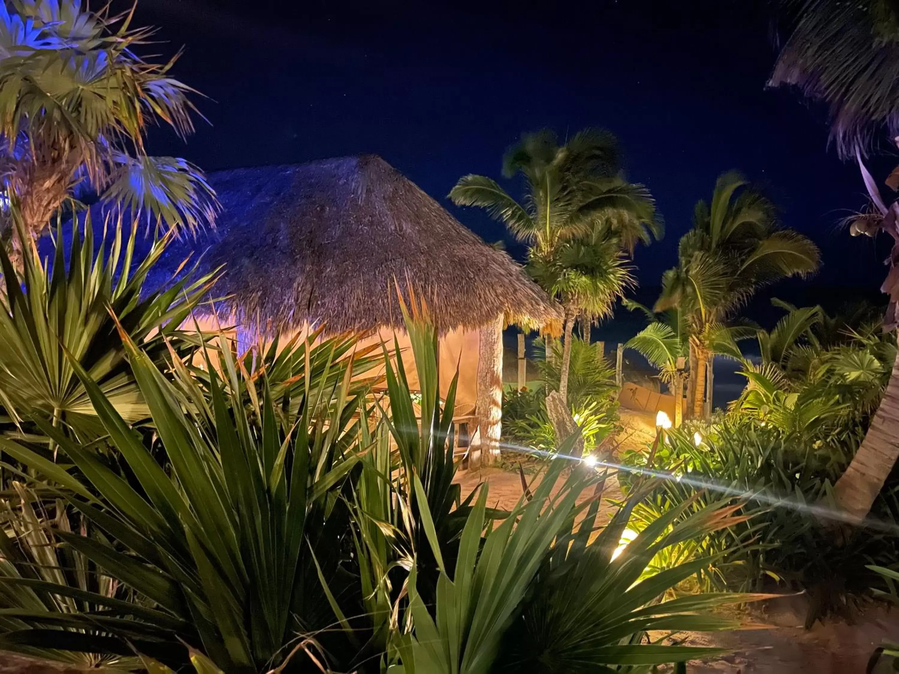 Restaurant/places to eat in Sueños Tulum