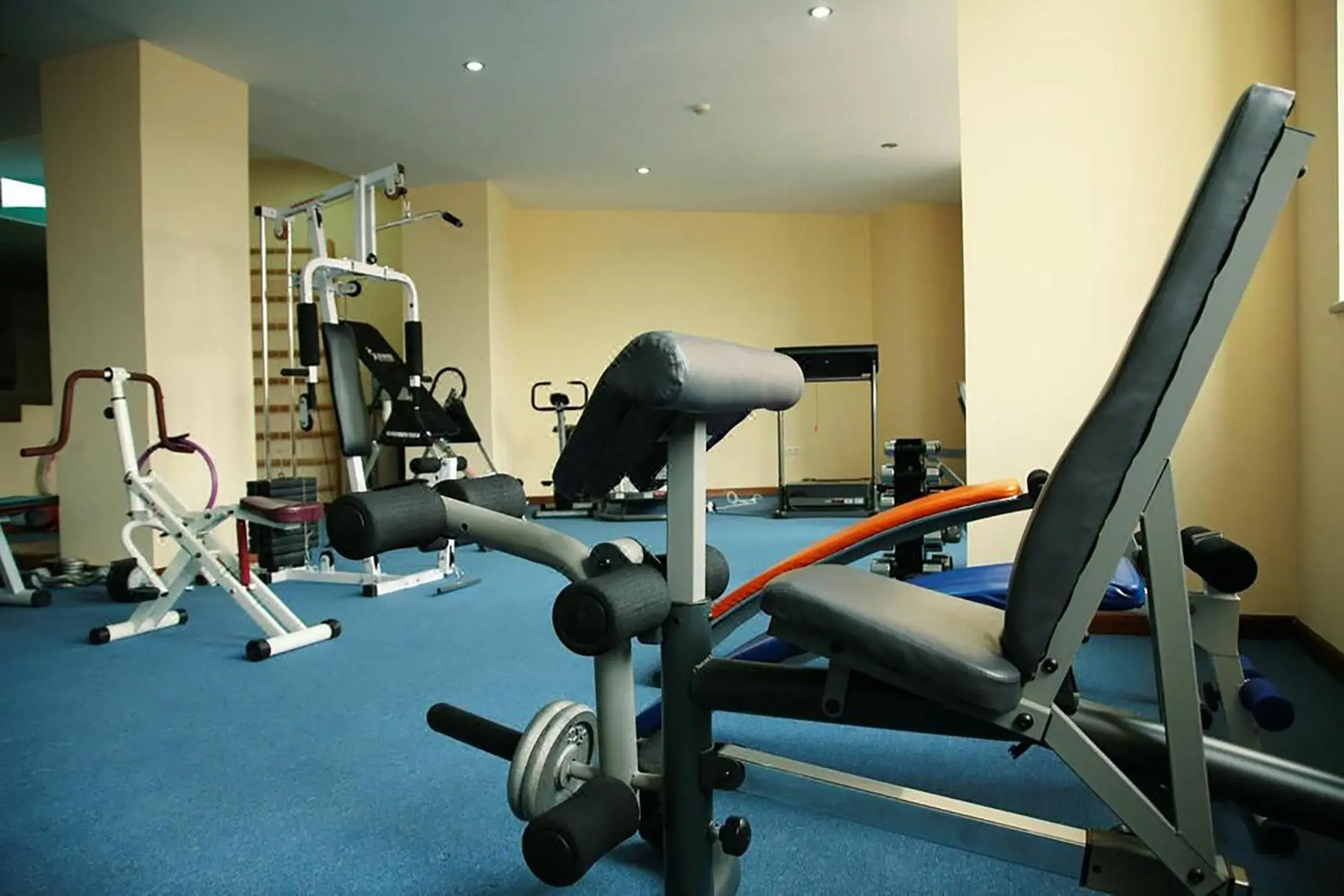 Fitness centre/facilities, Fitness Center/Facilities in Ararat Hotel