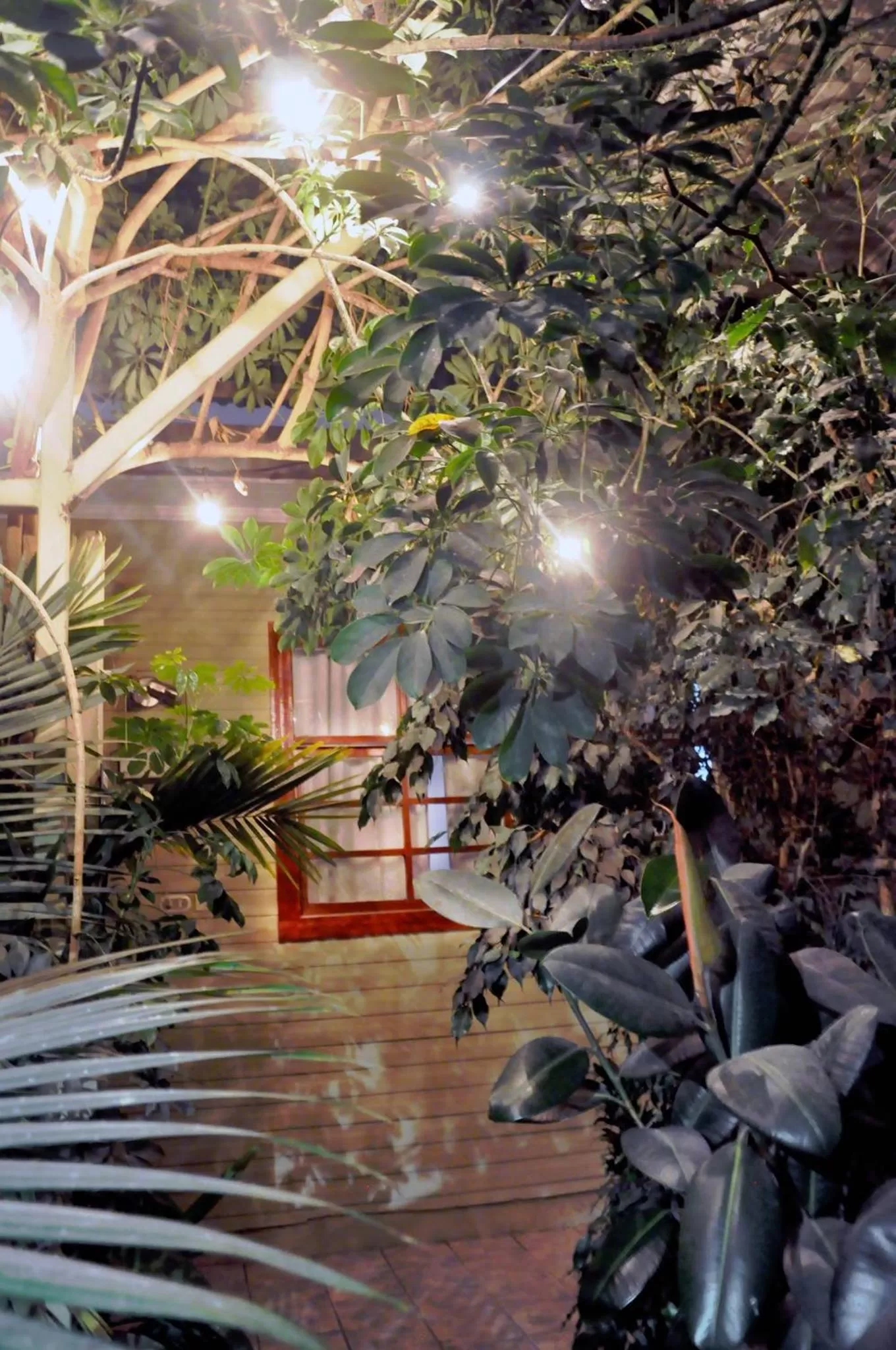 Garden in Hotel Aranjuez