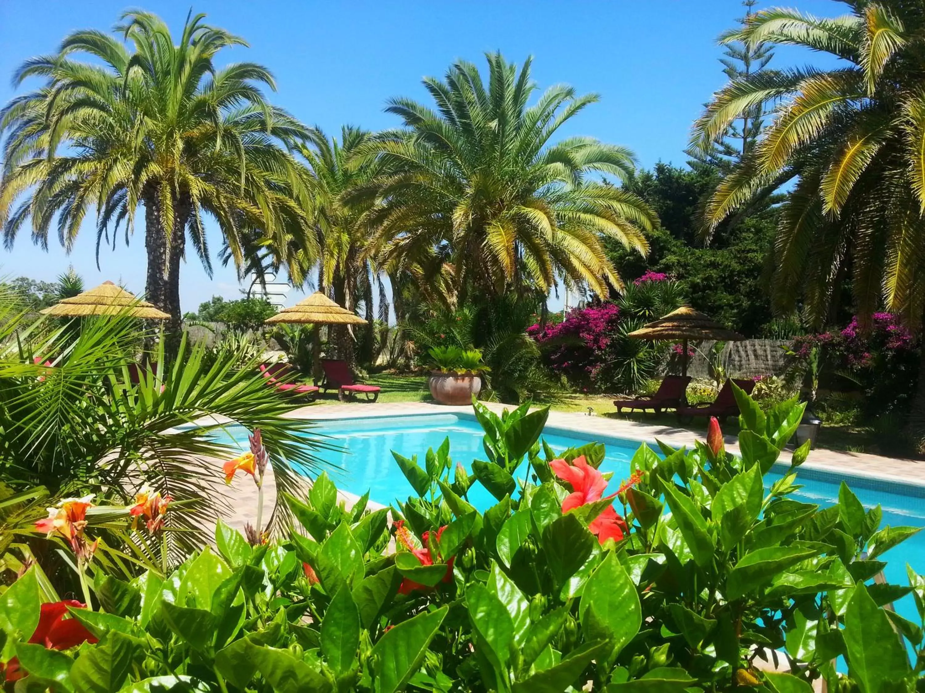 Garden, Swimming Pool in Villa Paraiso - Naturism Optional Adults Only
