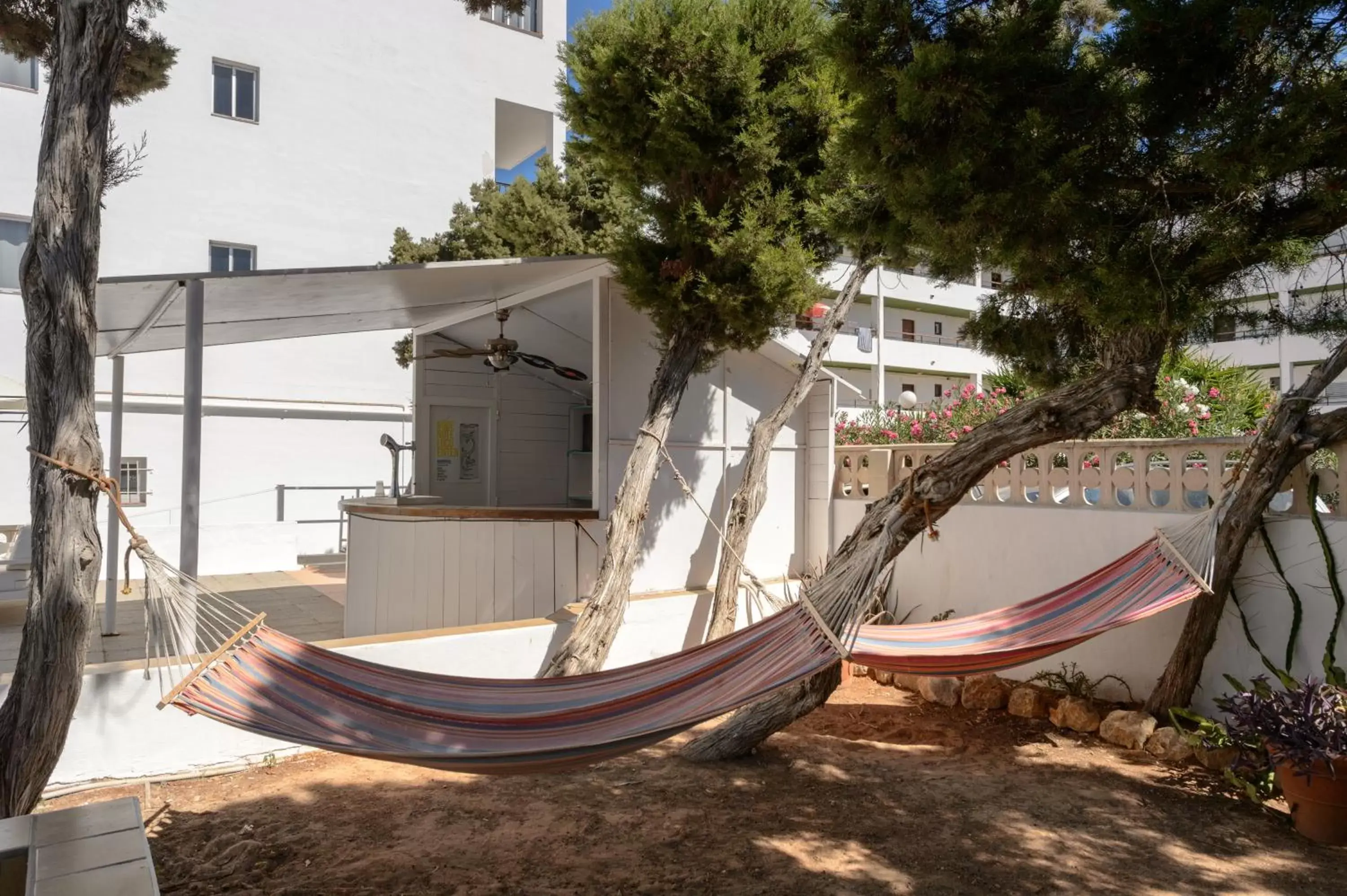 Swimming pool in Apartamentos San Antonio Beach