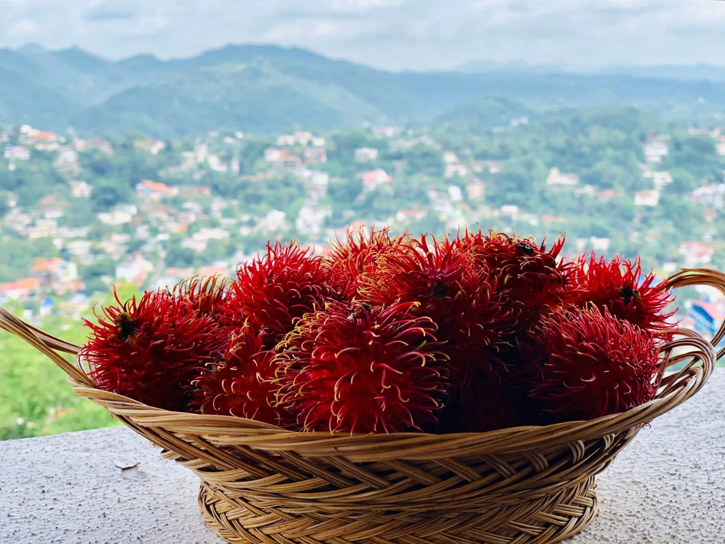 The Heaven's Villa Kandy
