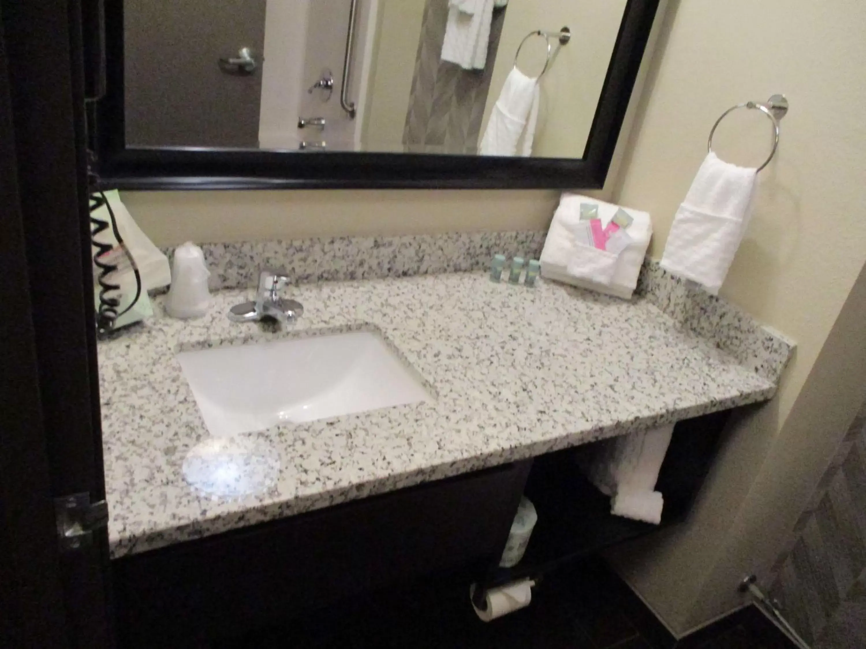 Bathroom in Best Western Roosevelt Place