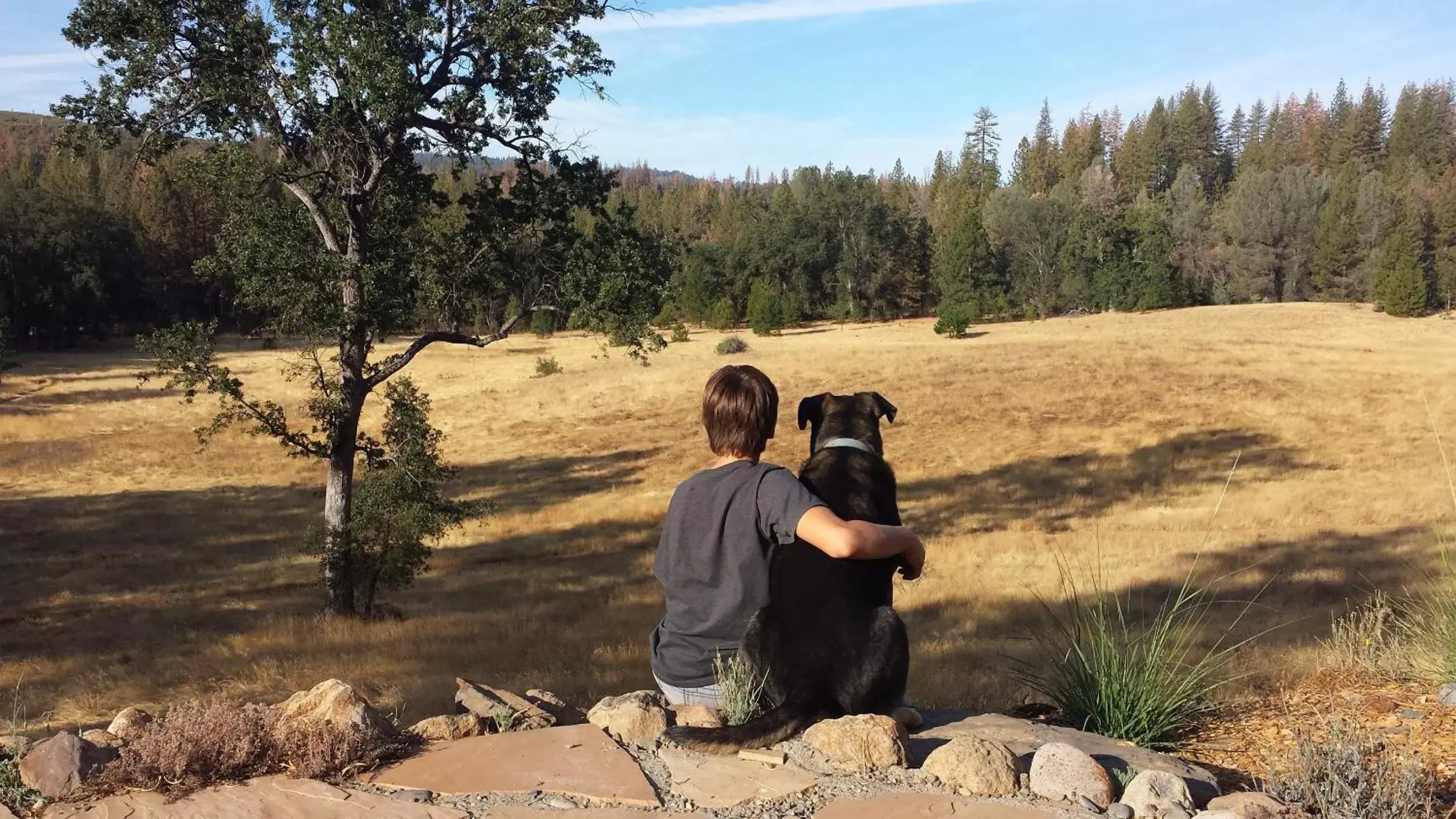 Pets in Red Tail Ranch