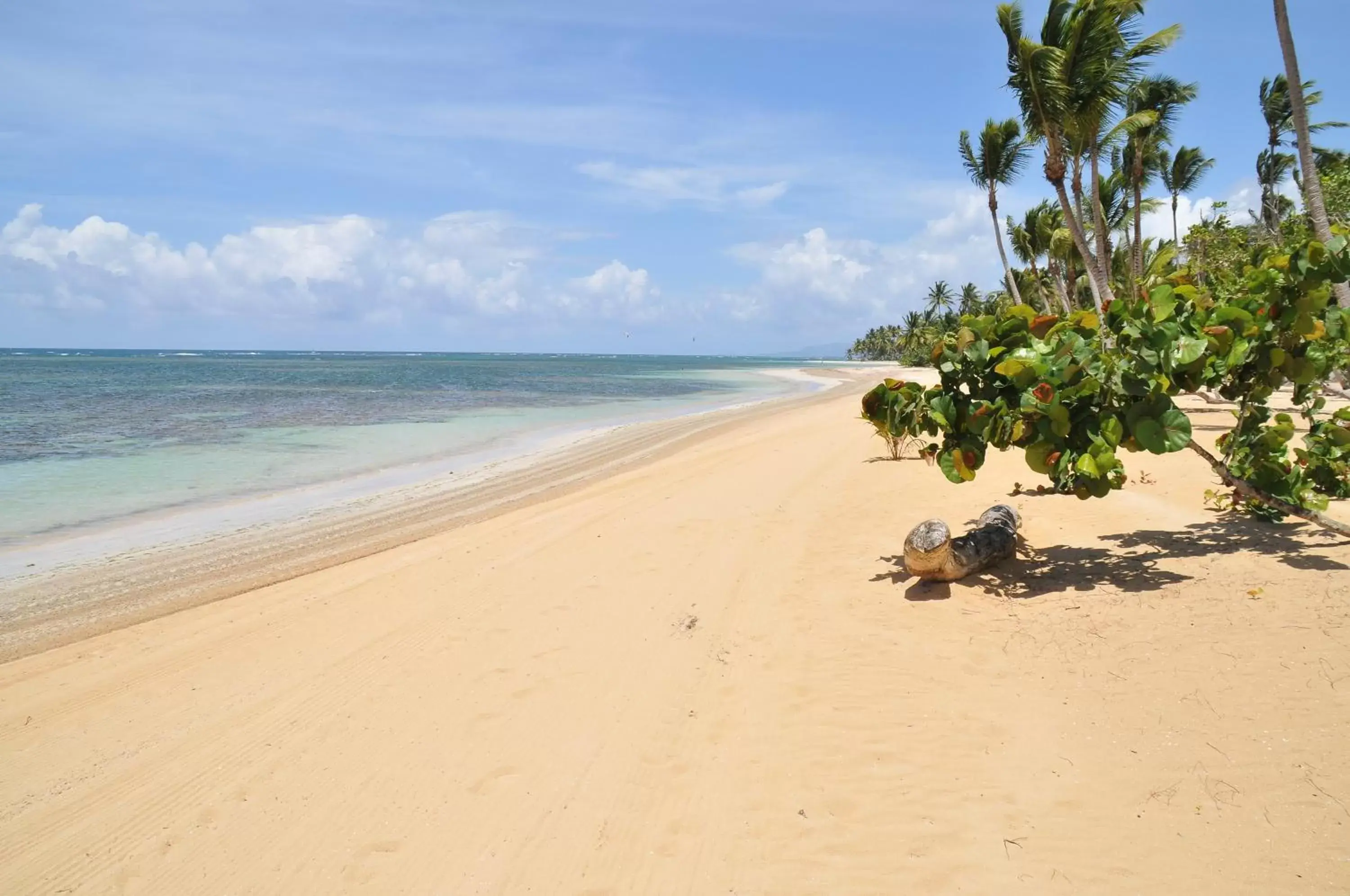 Sea view, Beach in Xeliter Balcones del Atlantico - Las Terrenas