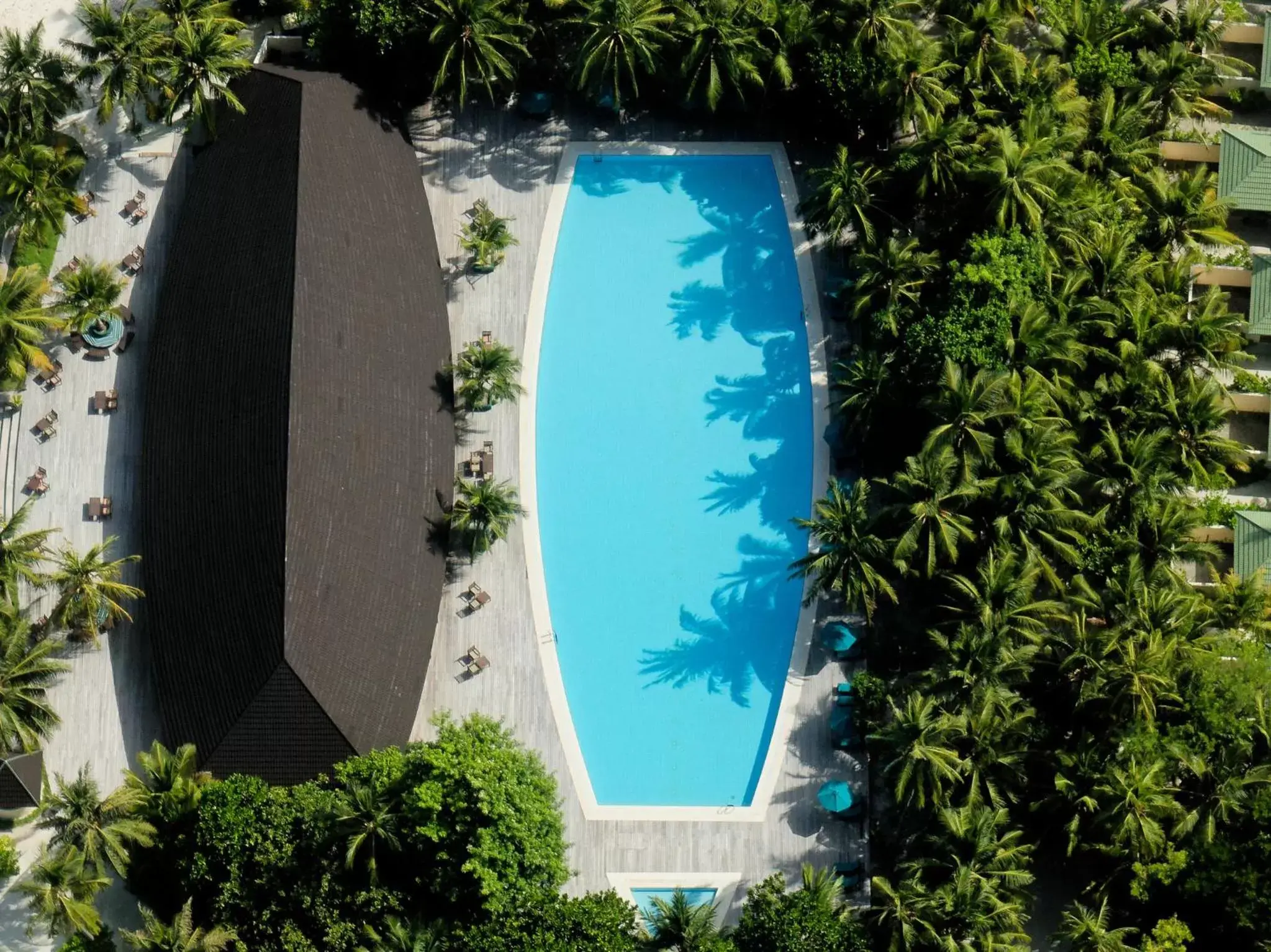 Bird's eye view, Pool View in Canareef Resort Maldives