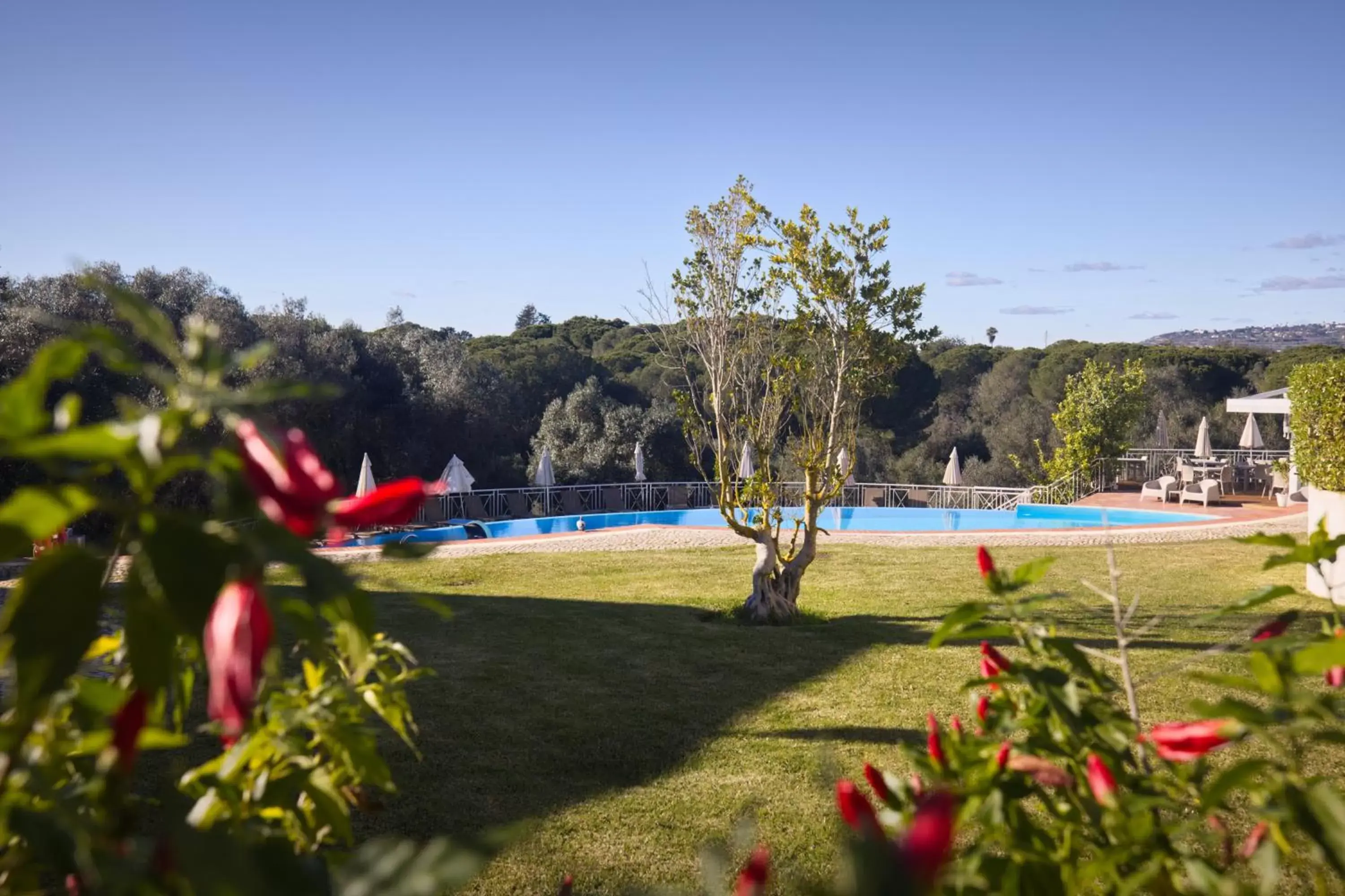 Garden, Swimming Pool in Cegonha Country Club
