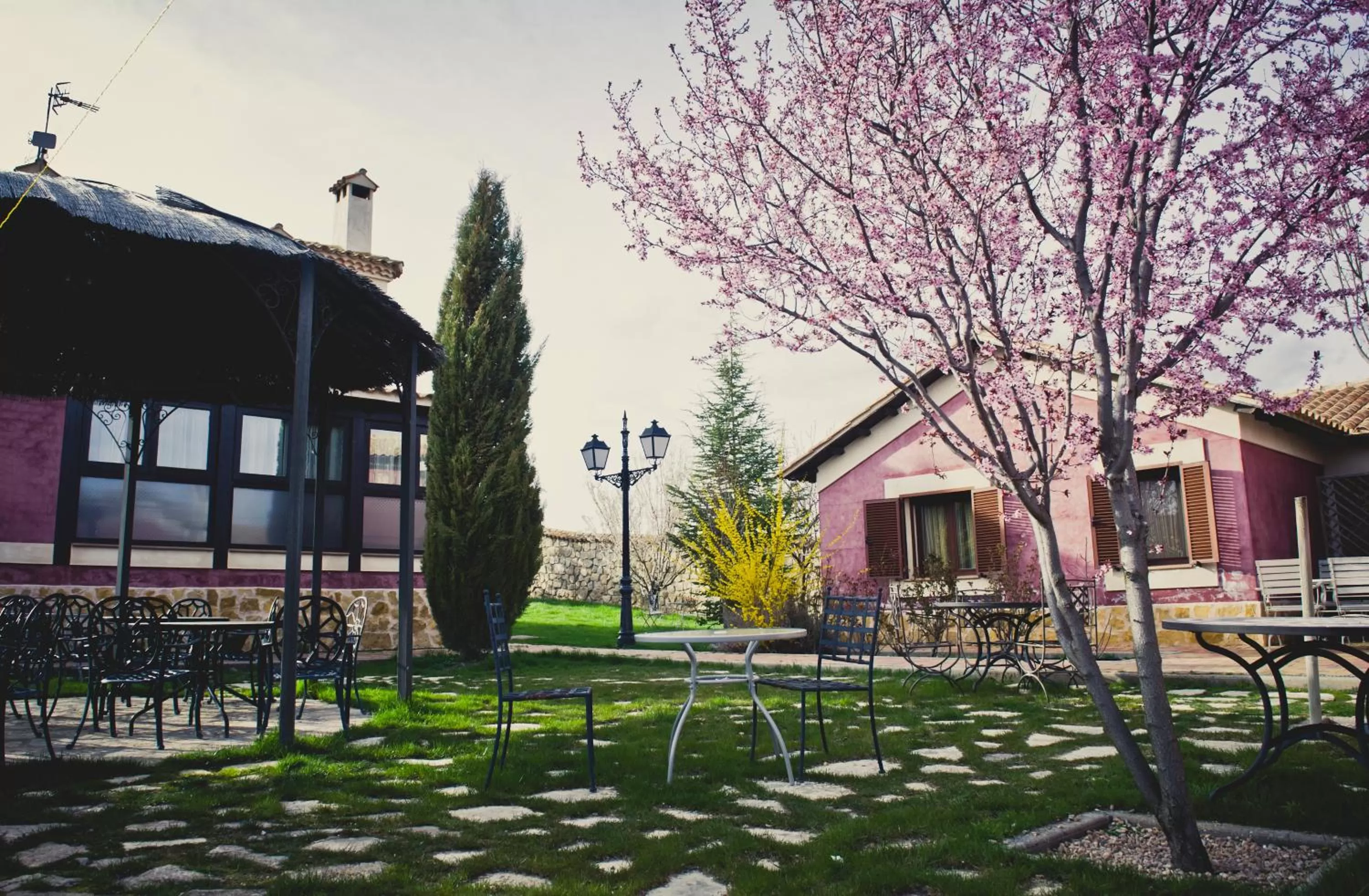 Garden in Hospedería Ballesteros