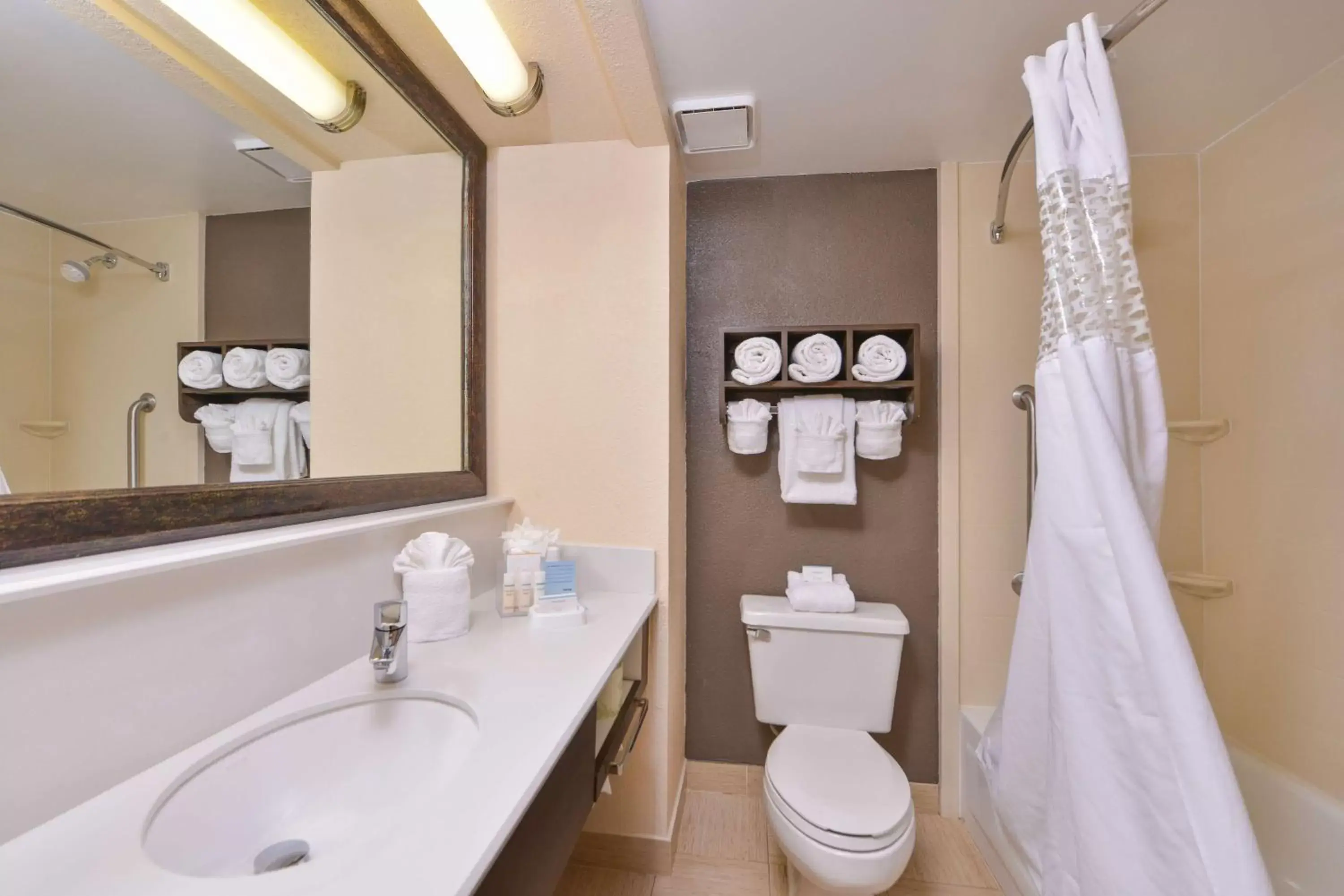 Bathroom in Hampton Inn Closest to Universal Orlando