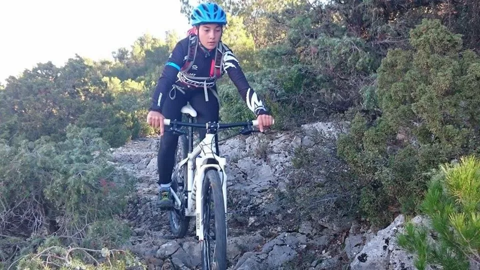 Cycling, Biking in Chambres d'Hôtes Aux Tournesols