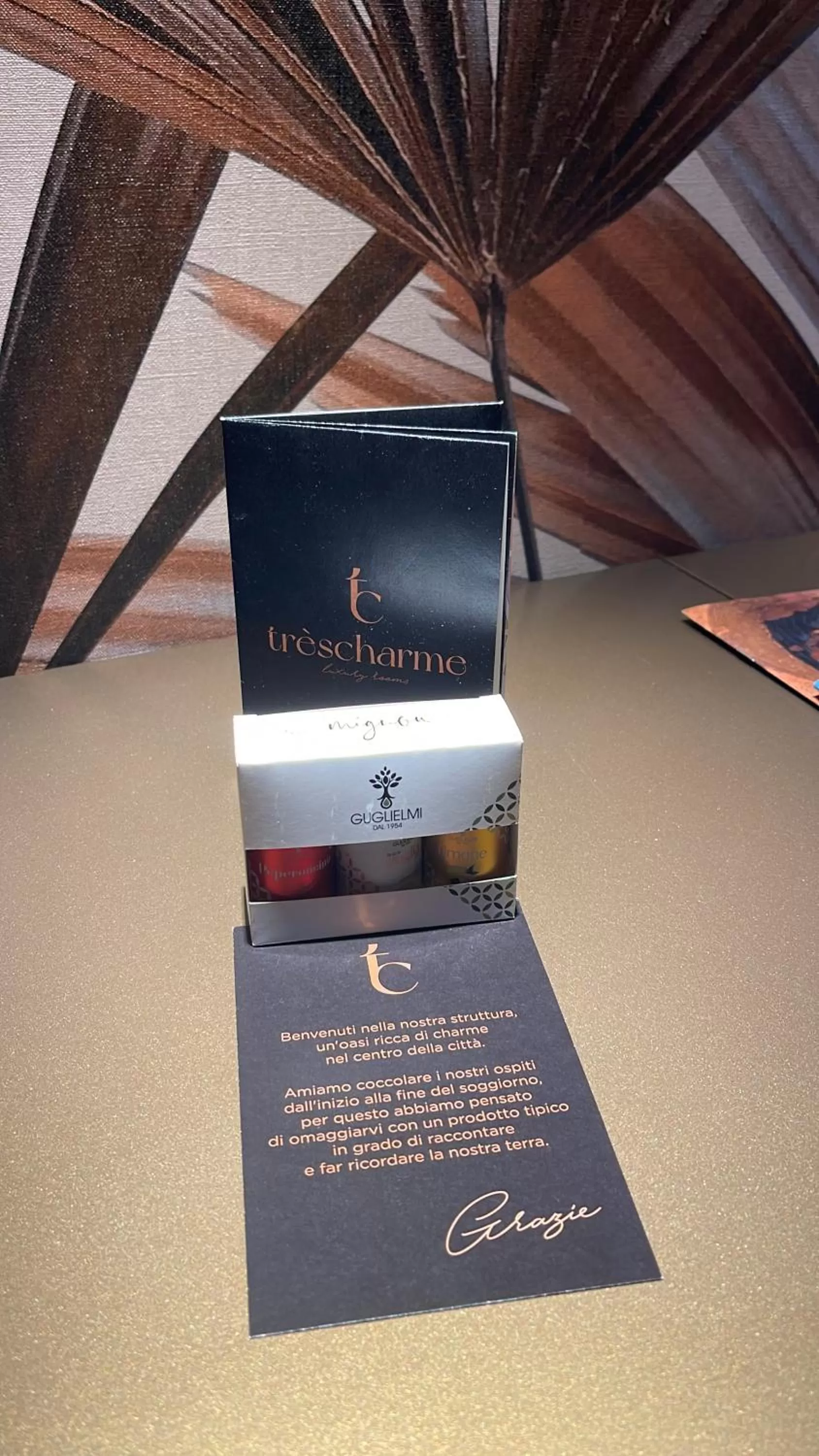 TV/Entertainment Center in Trèscharme