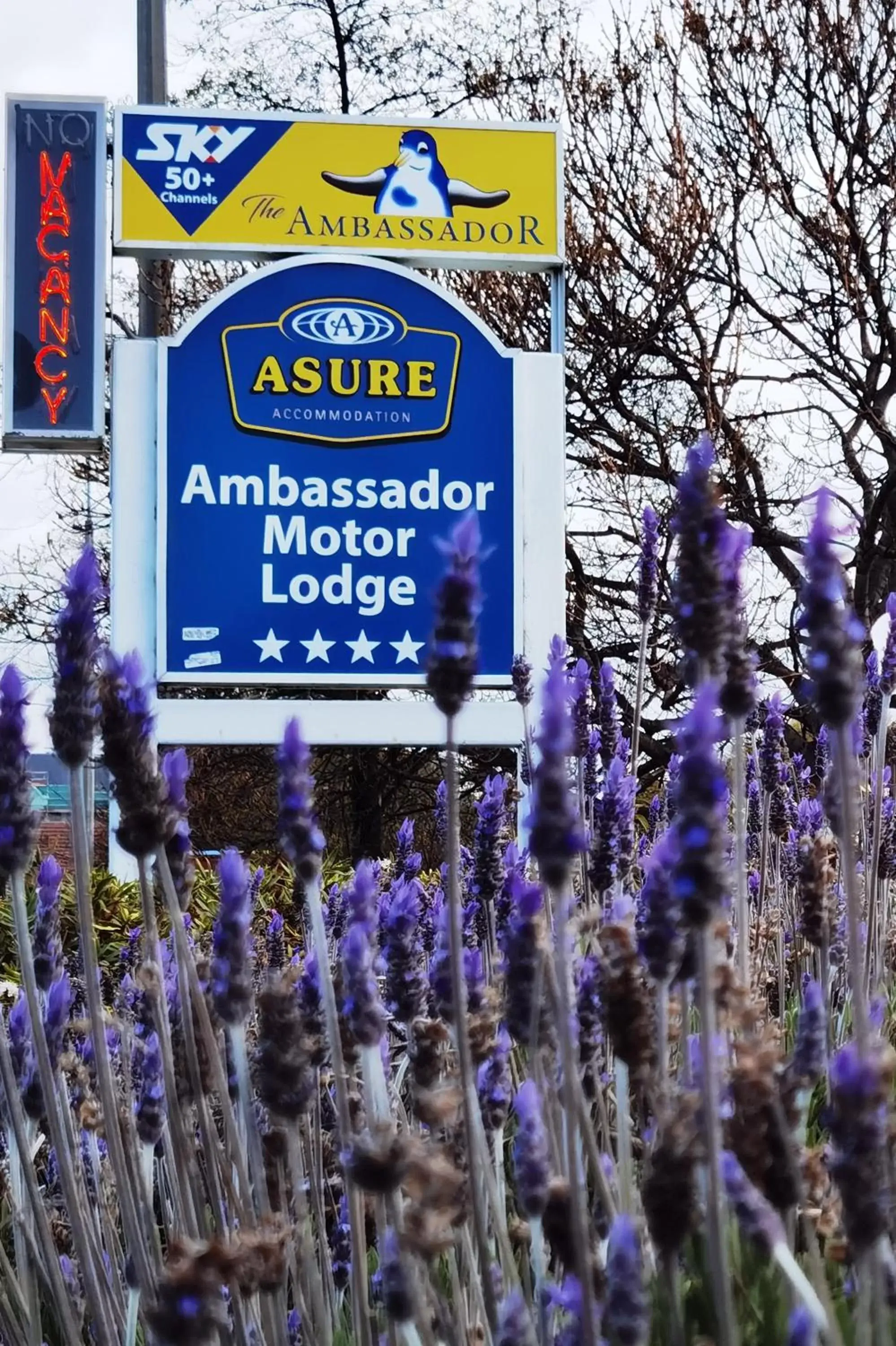 ASURE Ambassador Motor Lodge