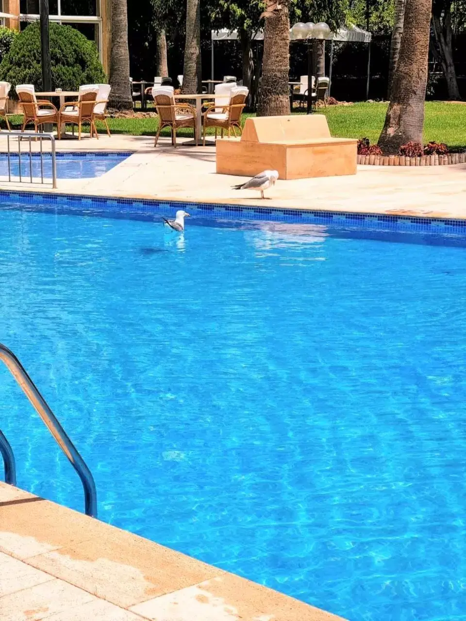 Swimming Pool in El Oumnia Puerto & Spa