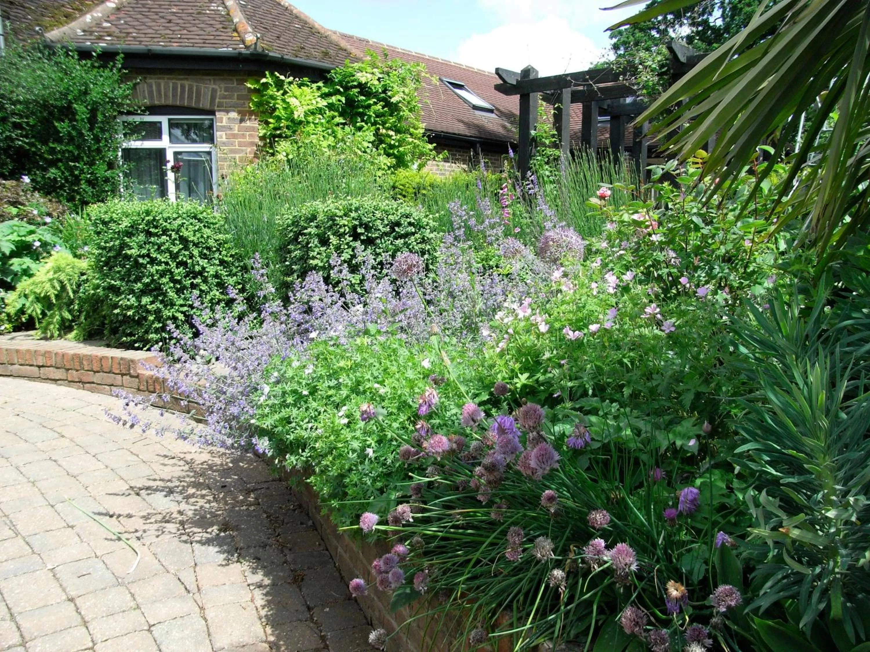 Garden, Property Building in South Lodge
