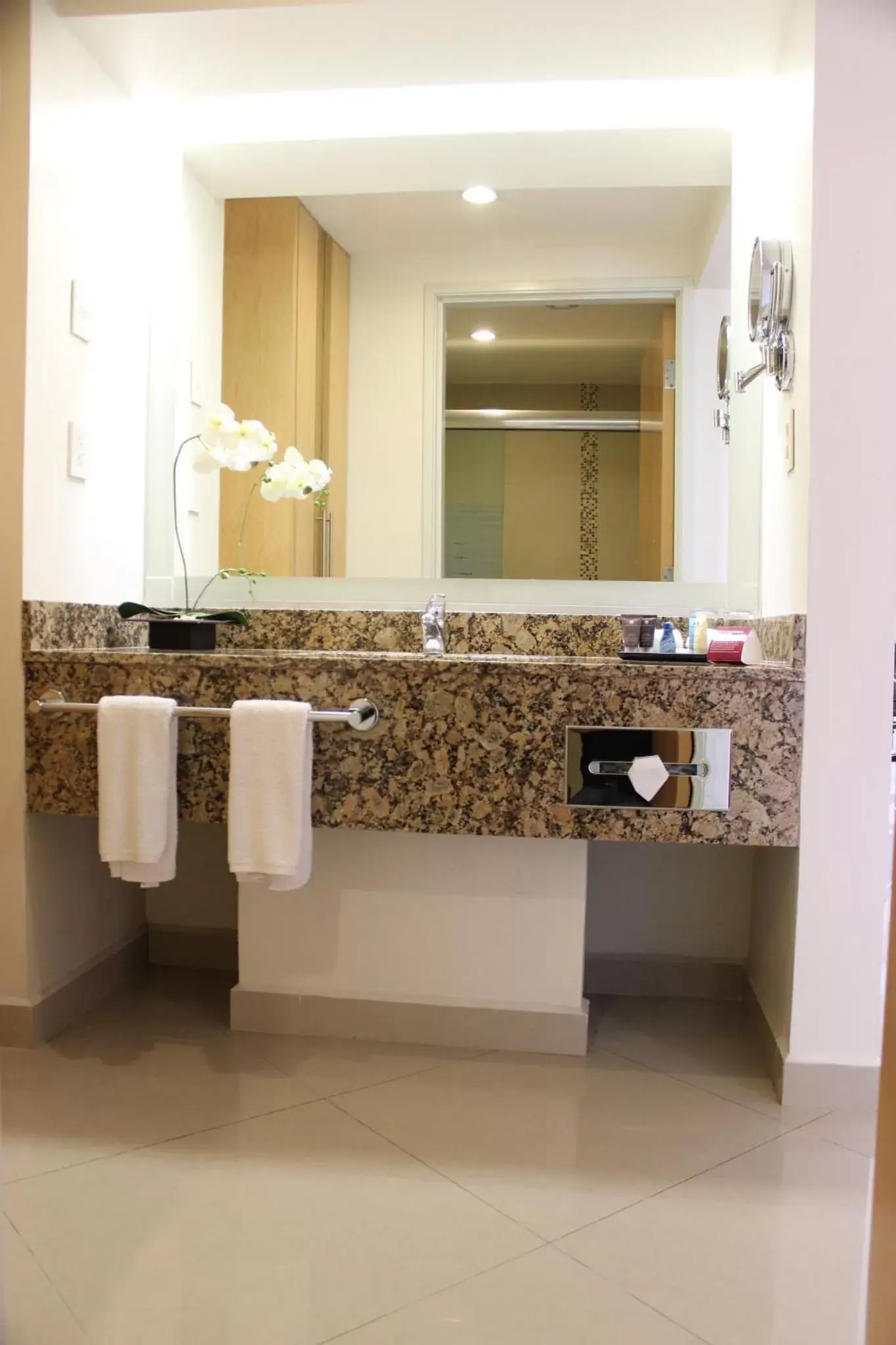 Photo of the whole room, Bathroom in Holiday Inn Tuxpan - Convention Center, an IHG Hotel