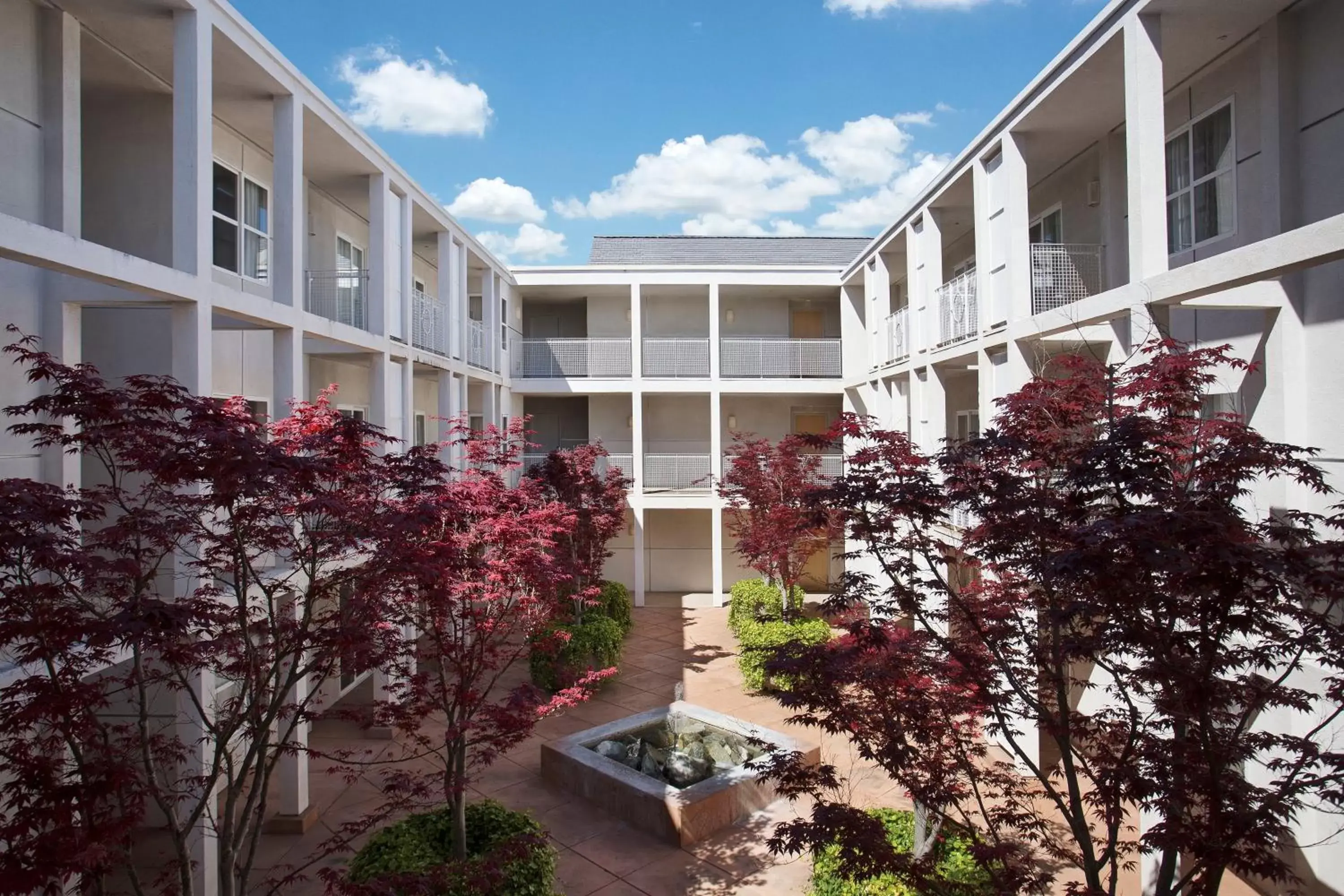 View (from property/room), Property Building in Corporate Inn Sunnyvale - All-Suite Hotel