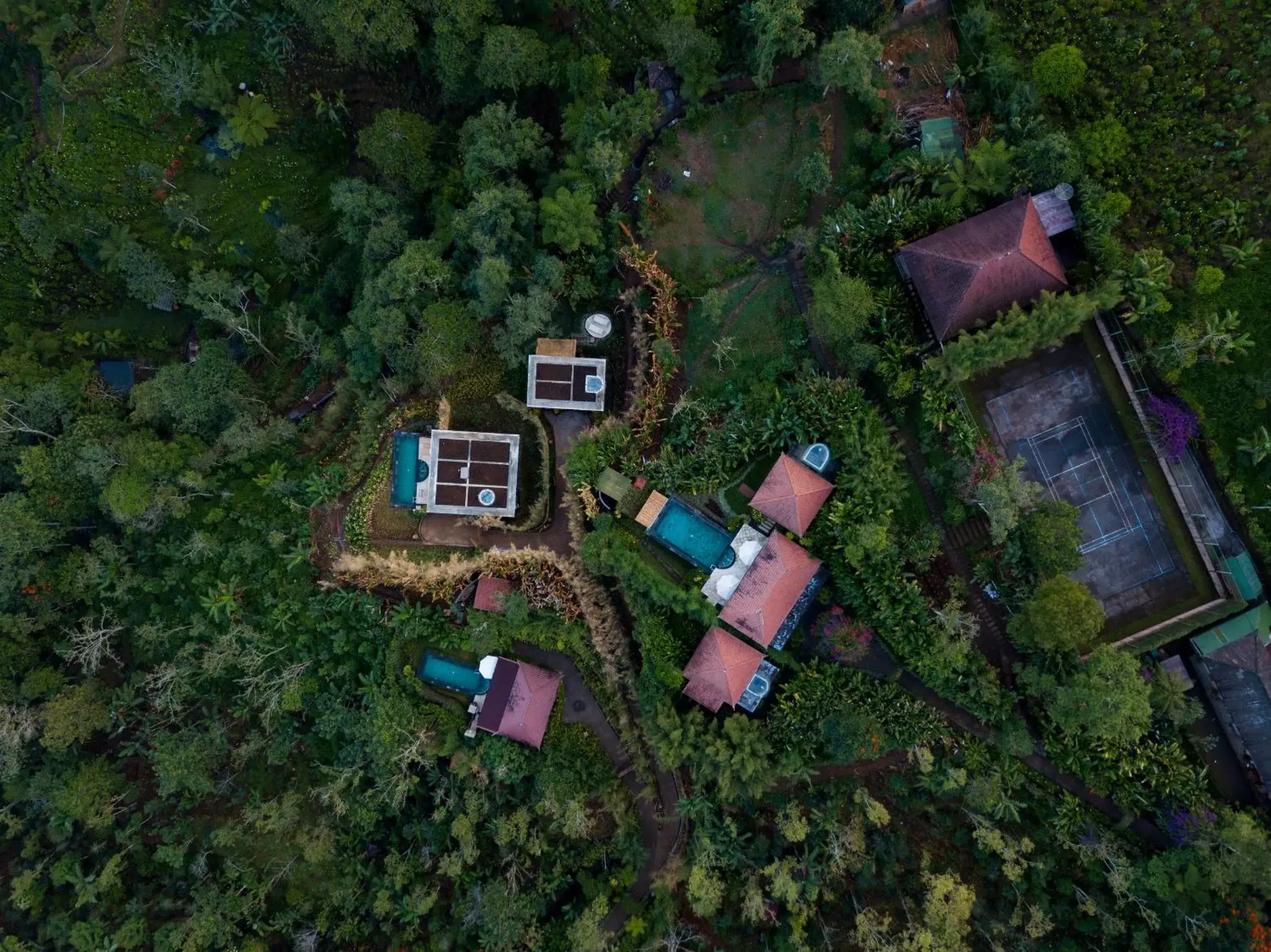 Bird's eye view, Bird's-eye View in Munduk Moding Plantation Nature Resort & Spa