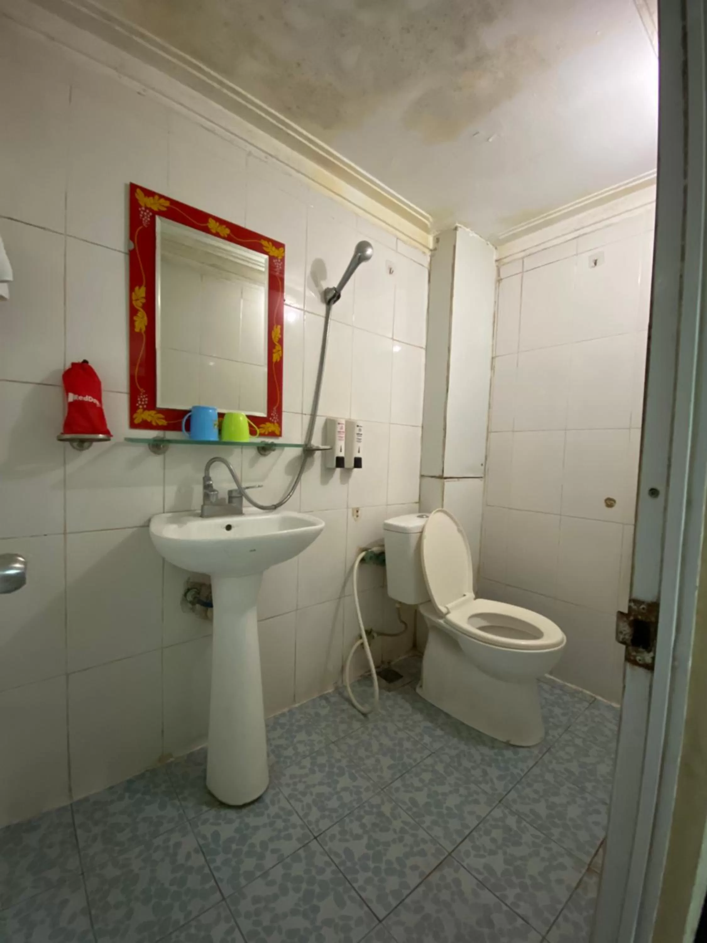 Shower in Sophie hotel