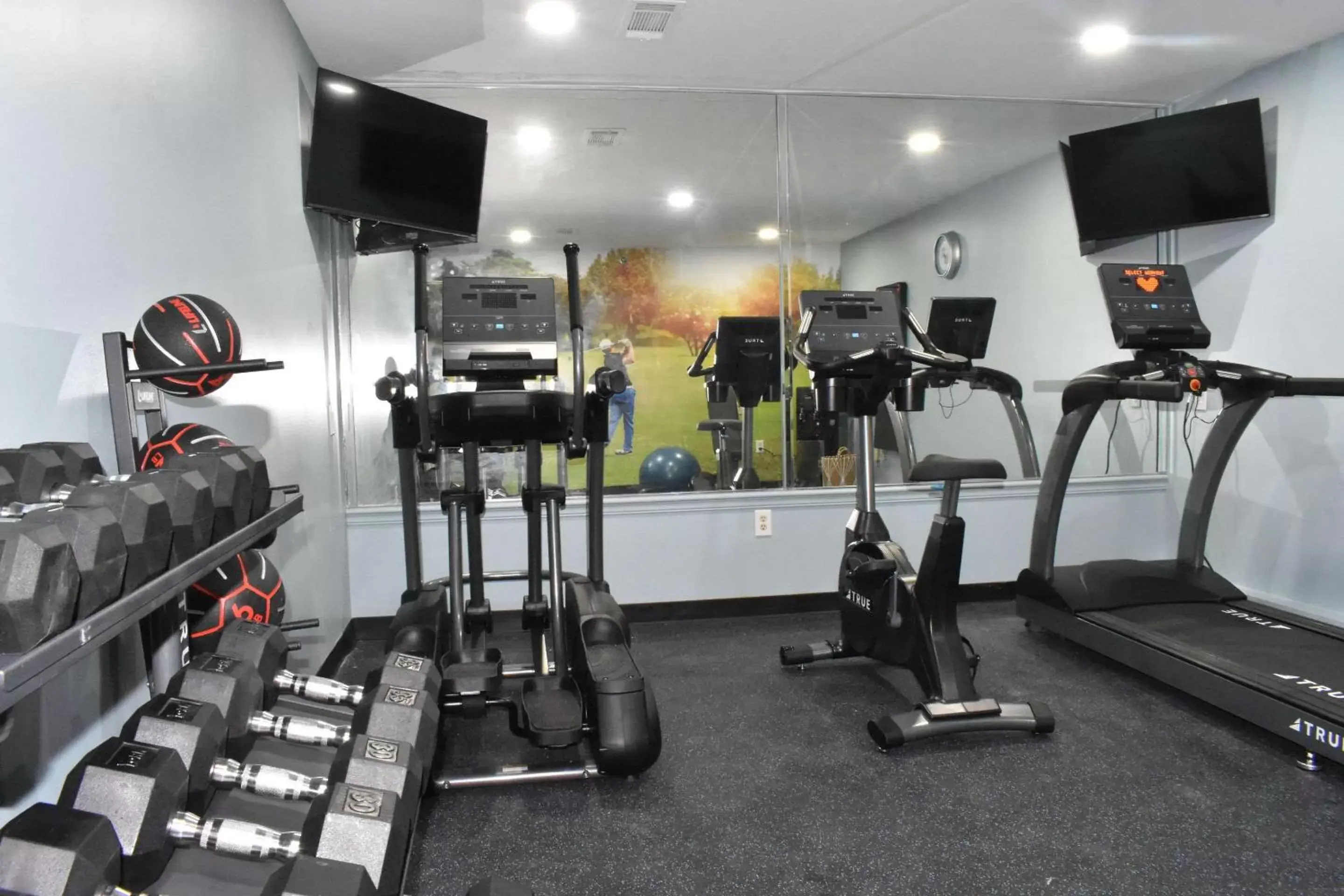 Fitness centre/facilities, Fitness Center/Facilities in Clarion Pointe Vidalia - Lyons West