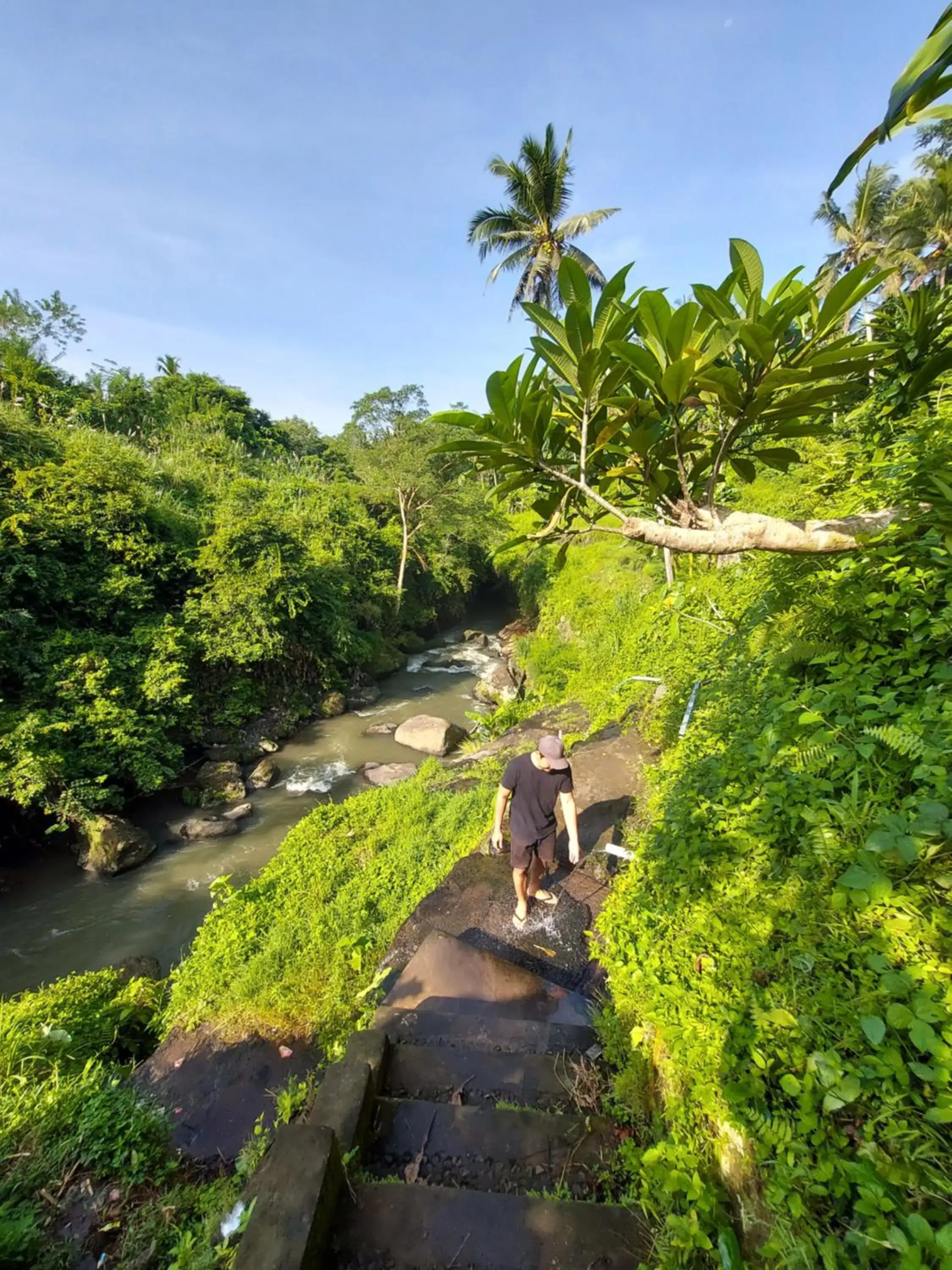 Natural landscape in Ubad Retreat, A Local Family Run Hotel